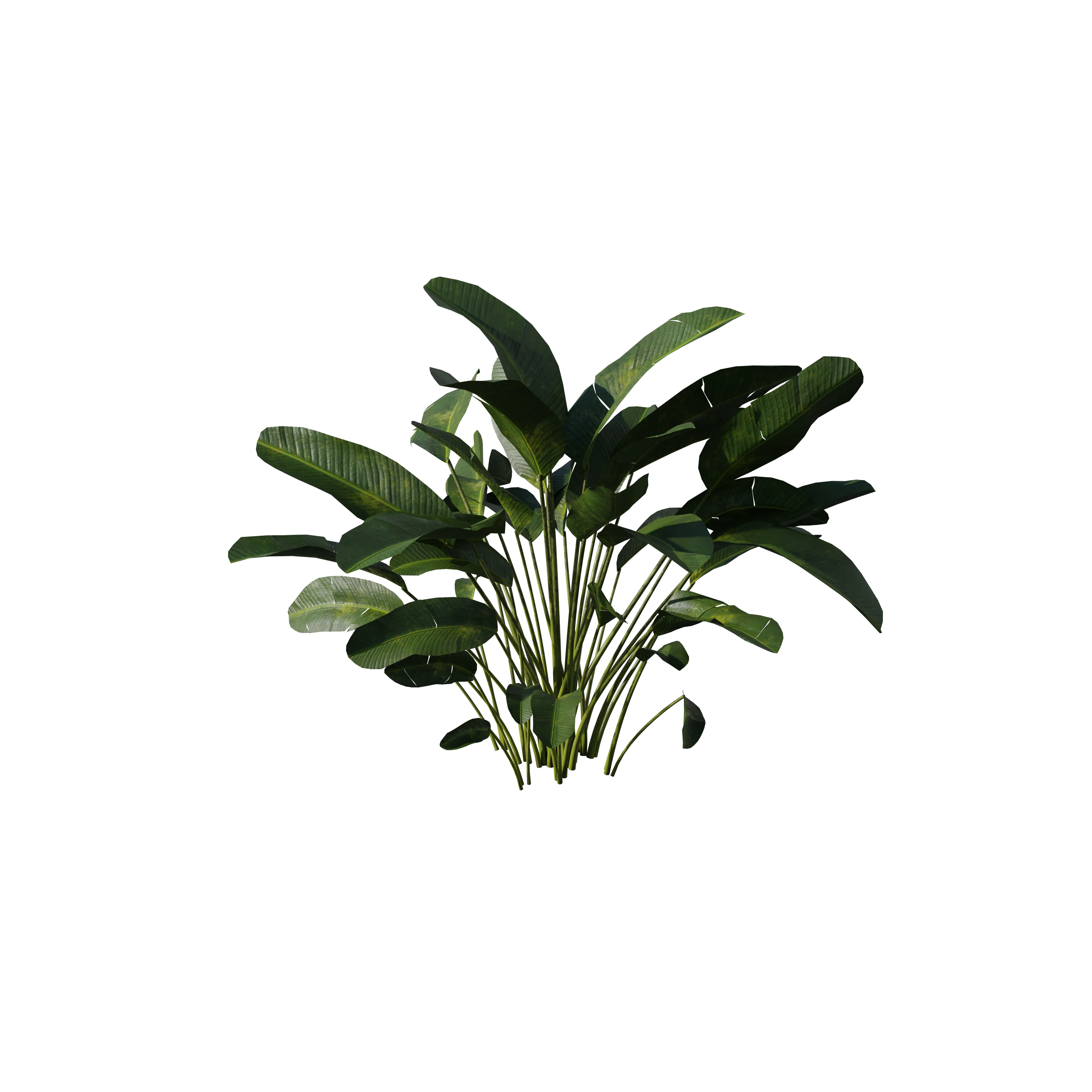 Product image 191