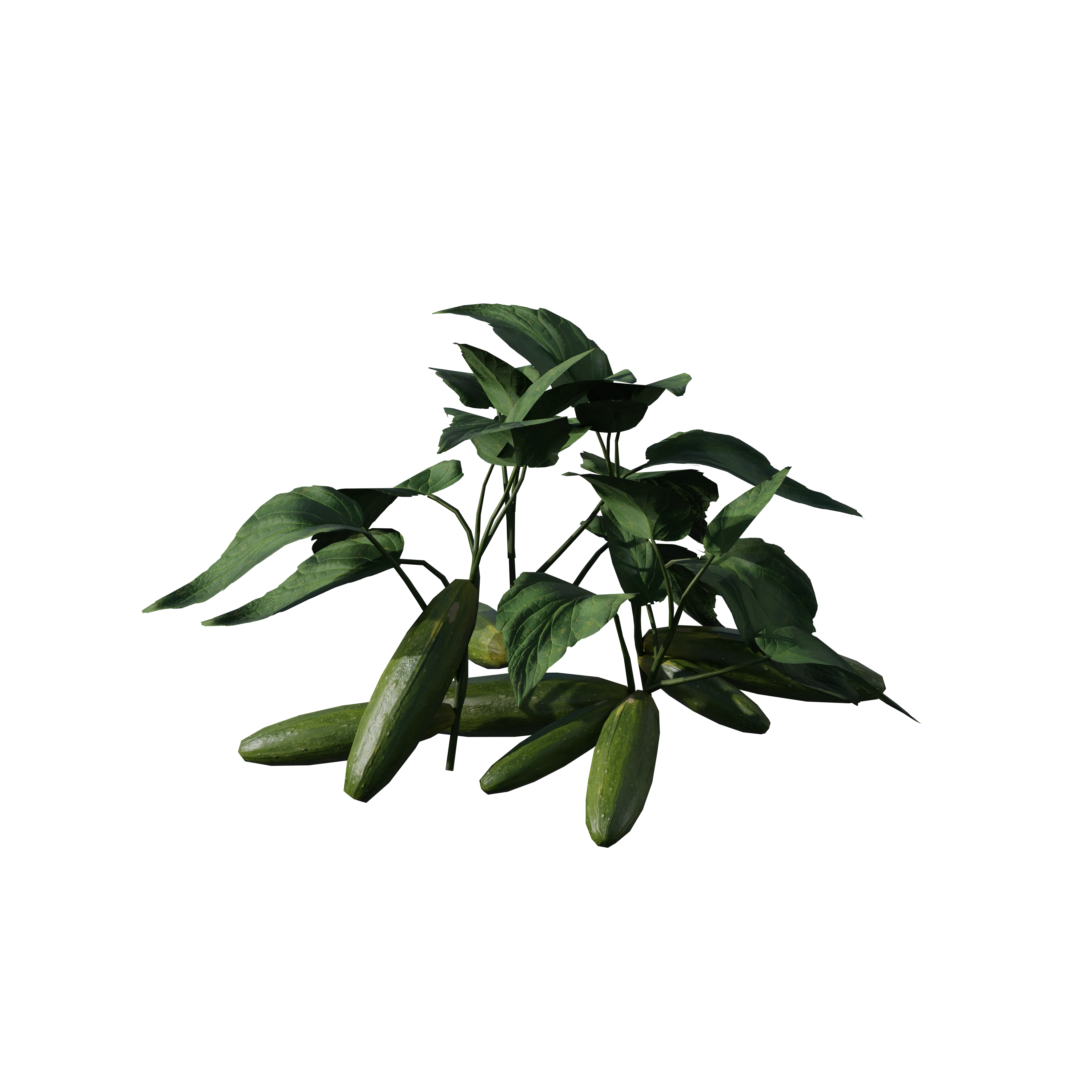 Product image 81