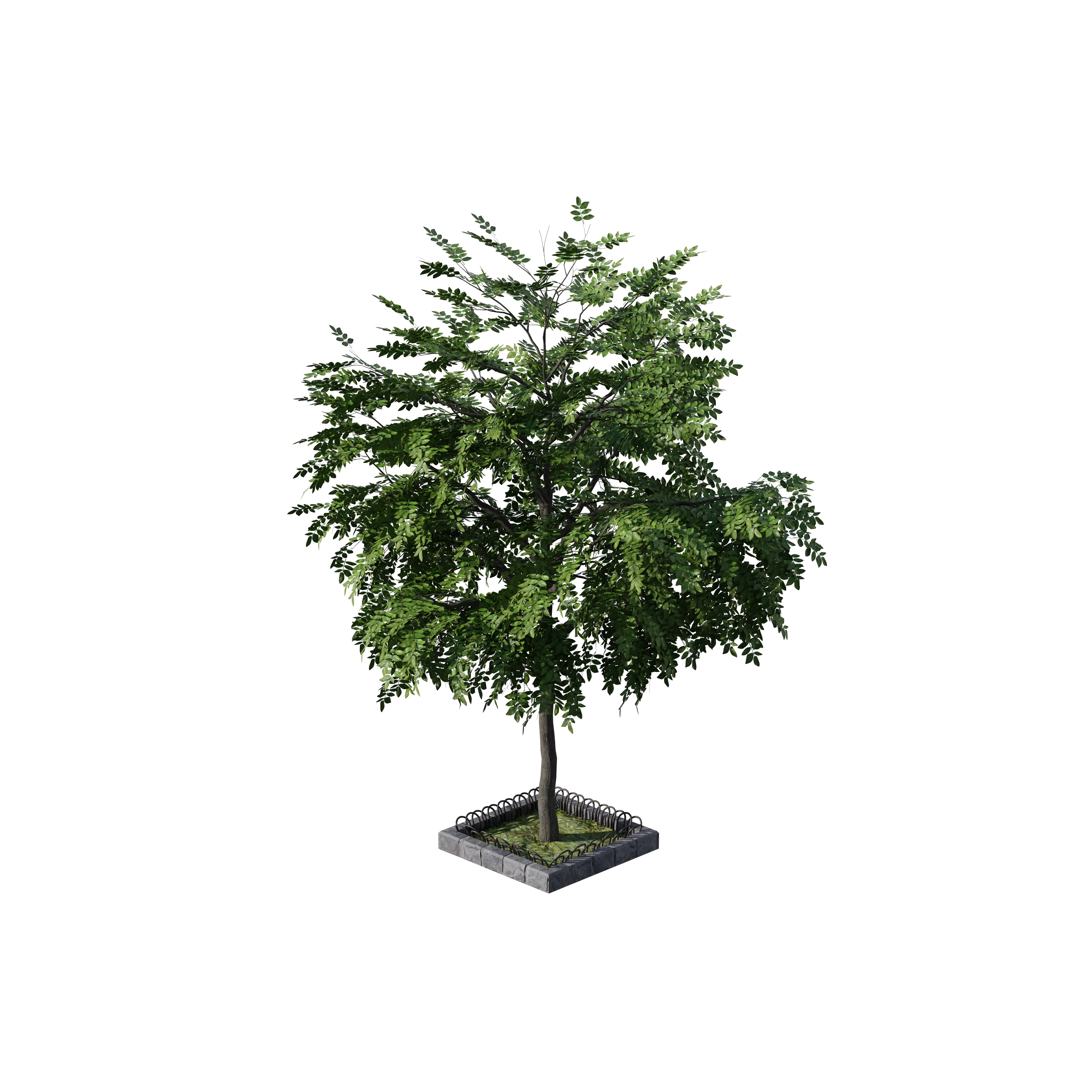 Product image 155
