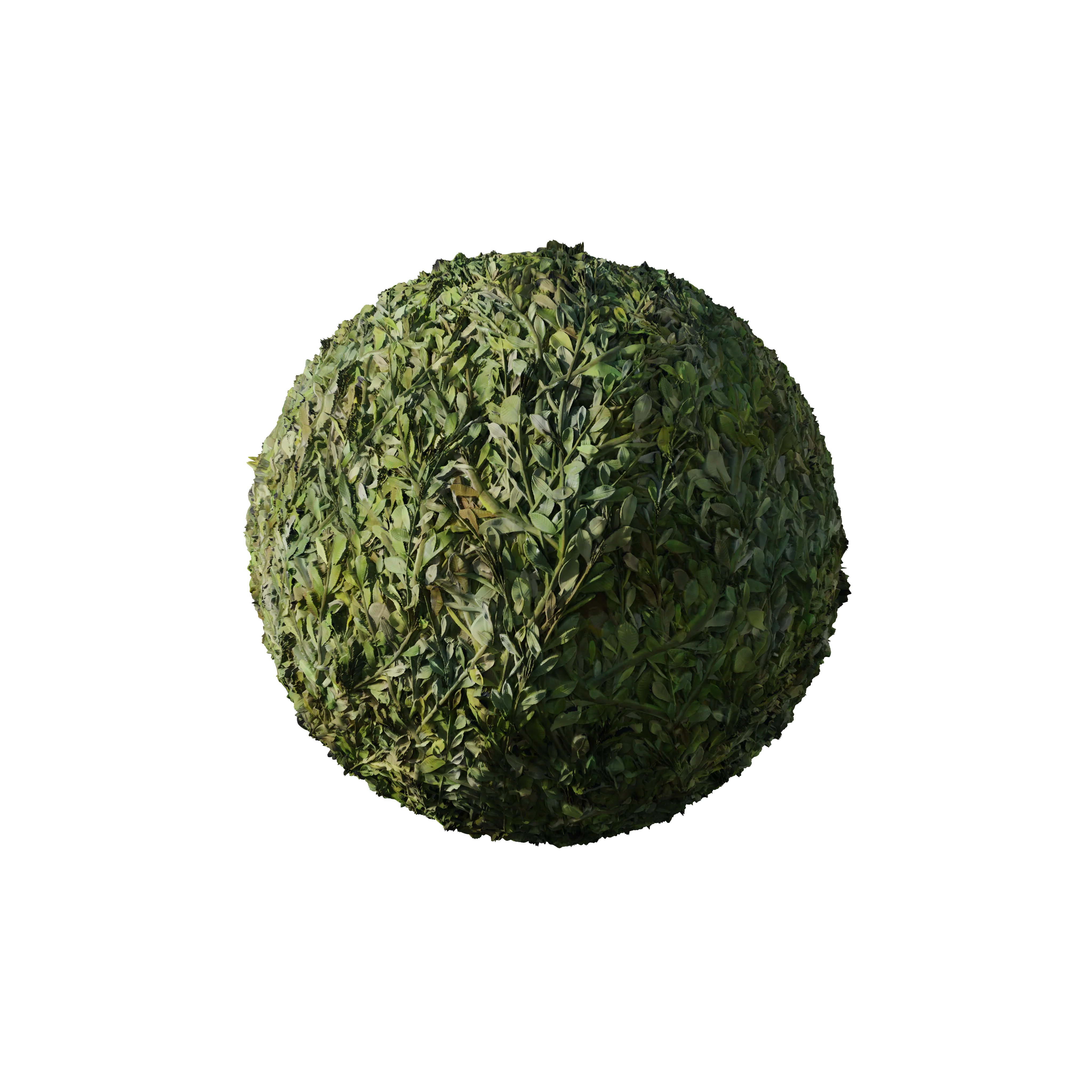 Product image 171