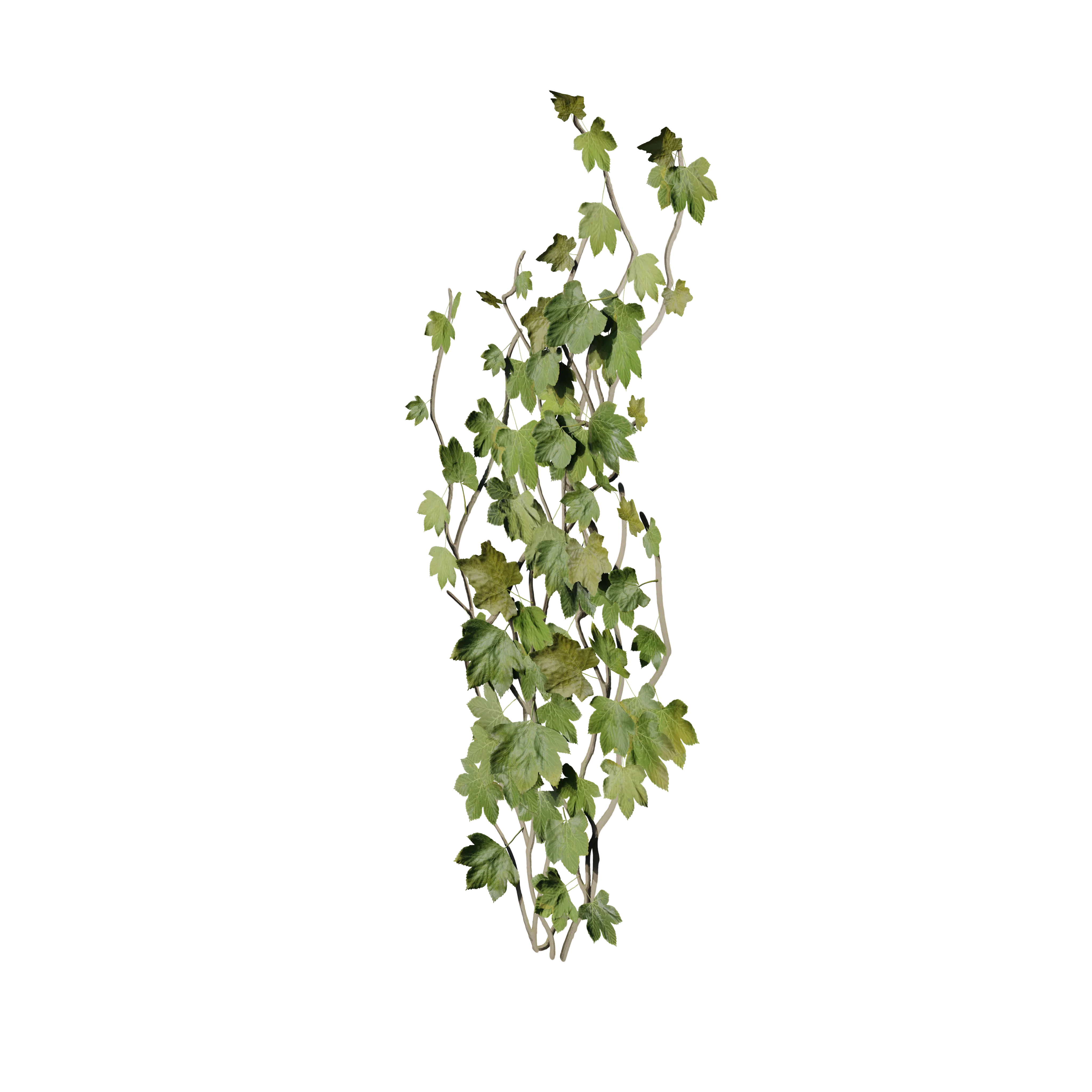 Product image 103