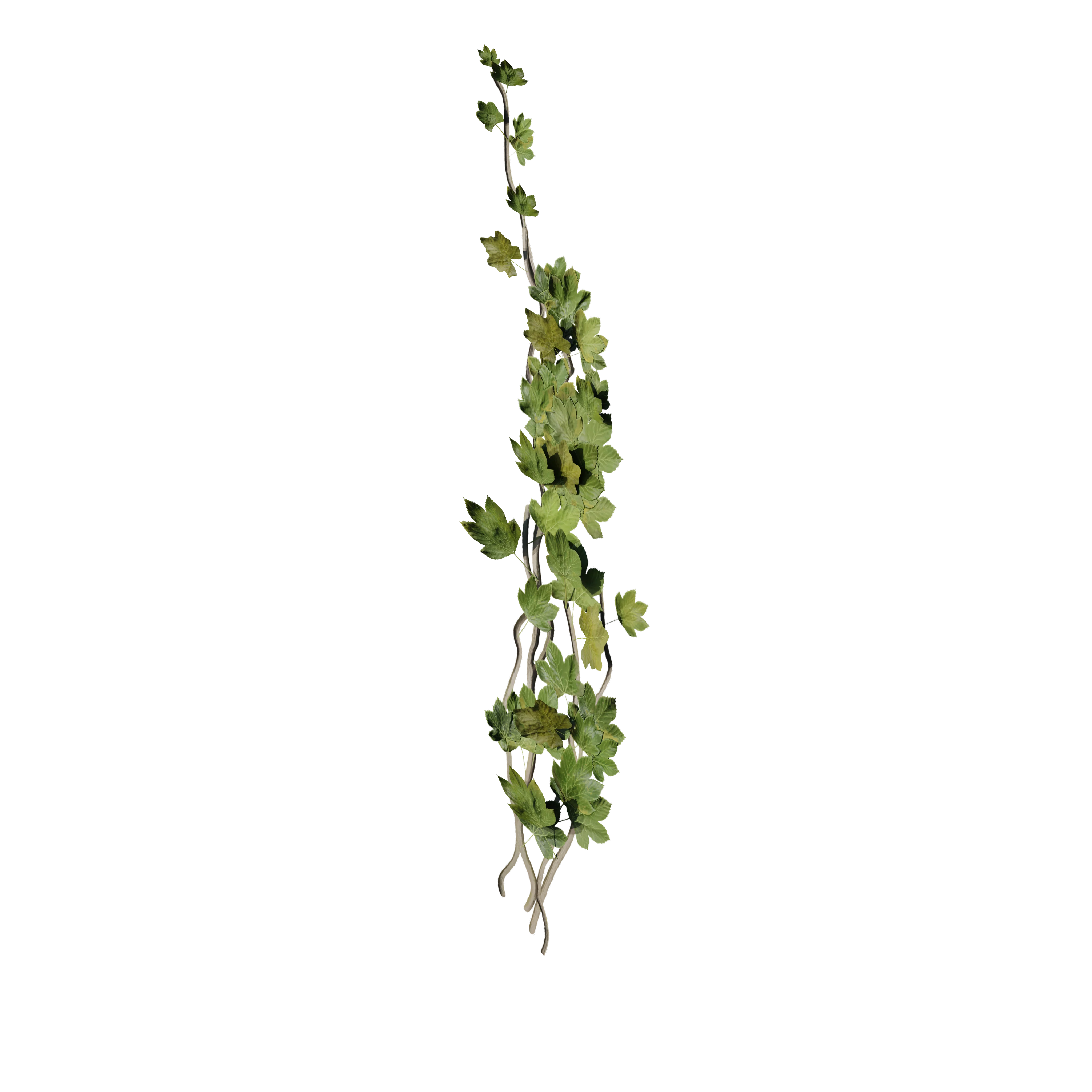 Product image 105