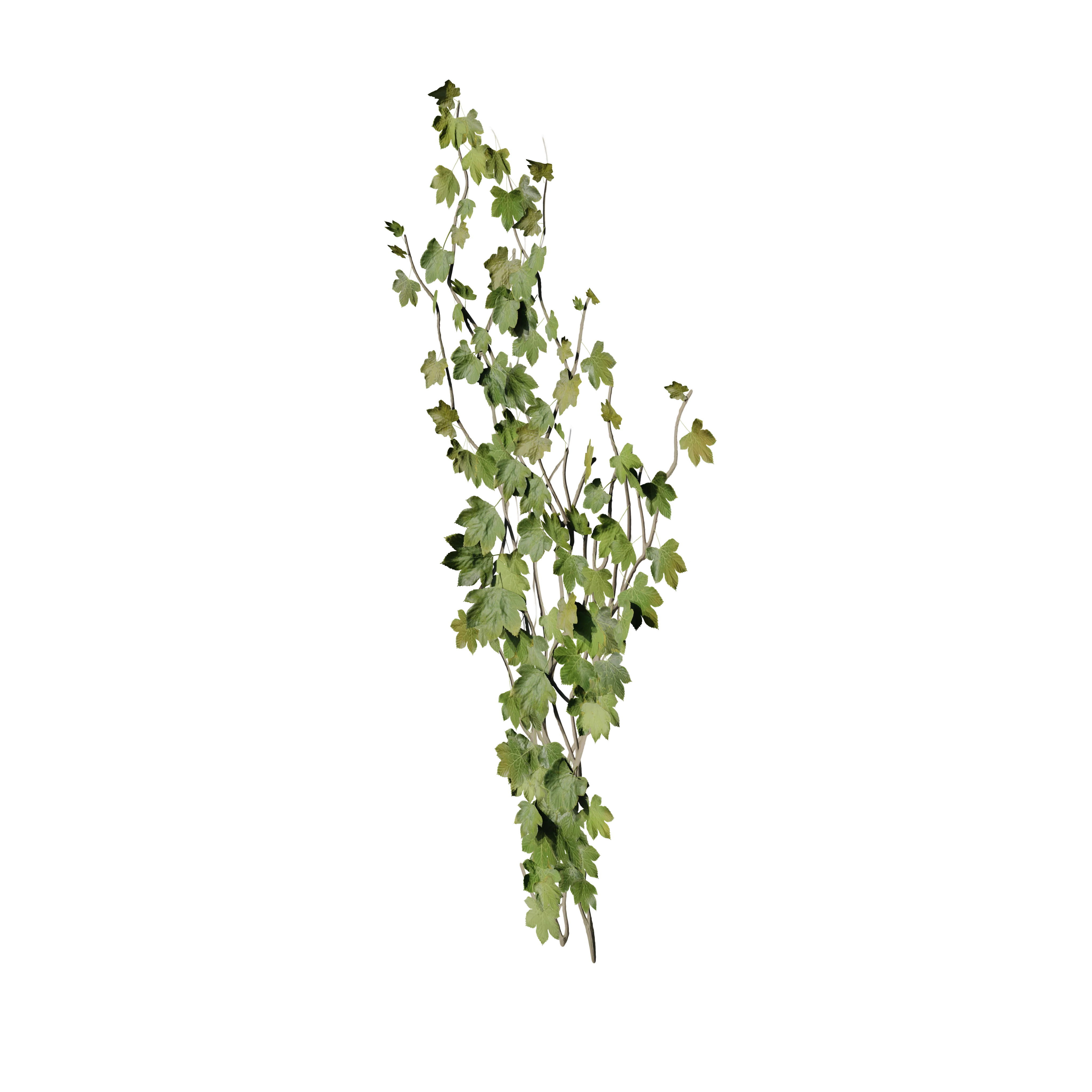 Product image 106