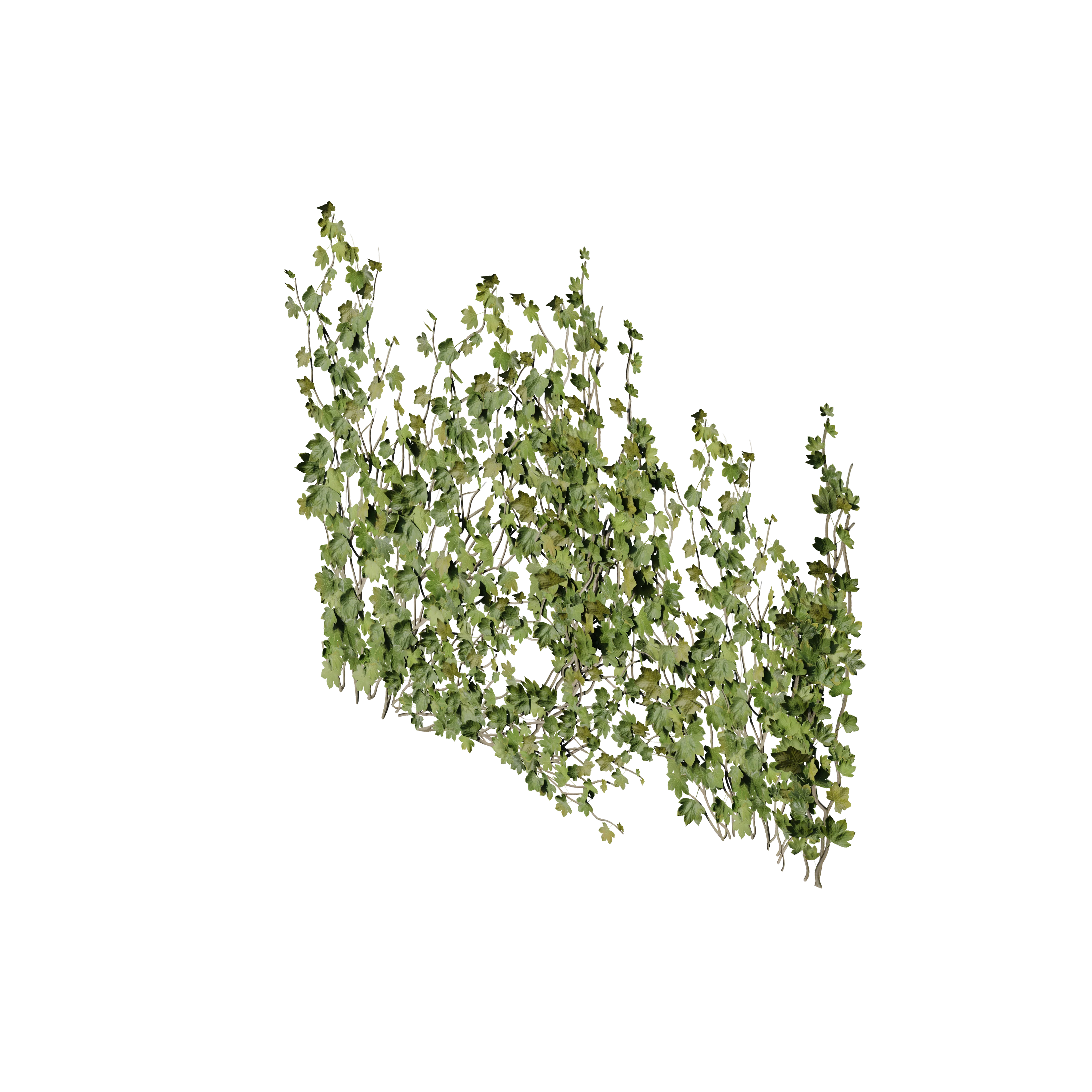 Product image 109