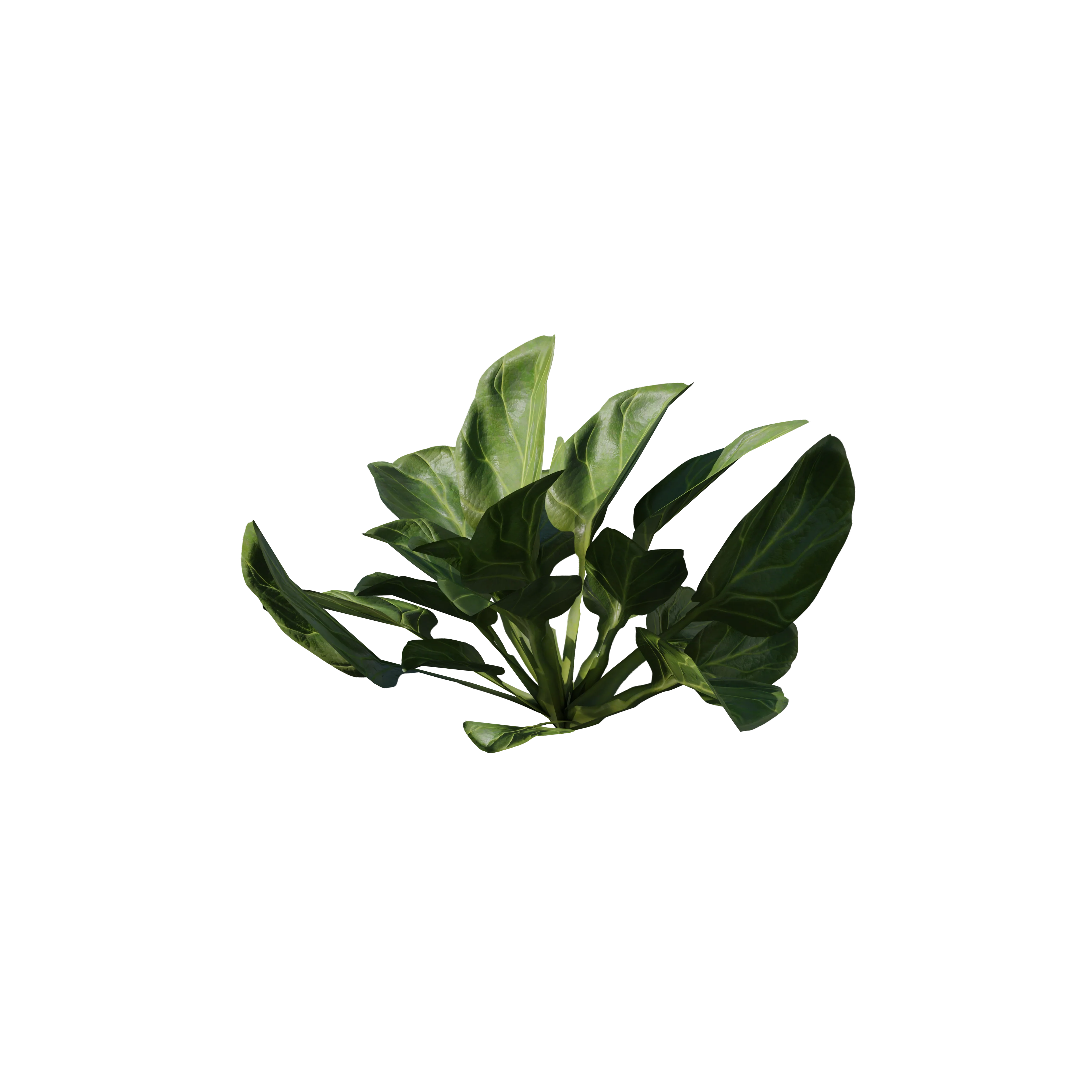 Product image 114