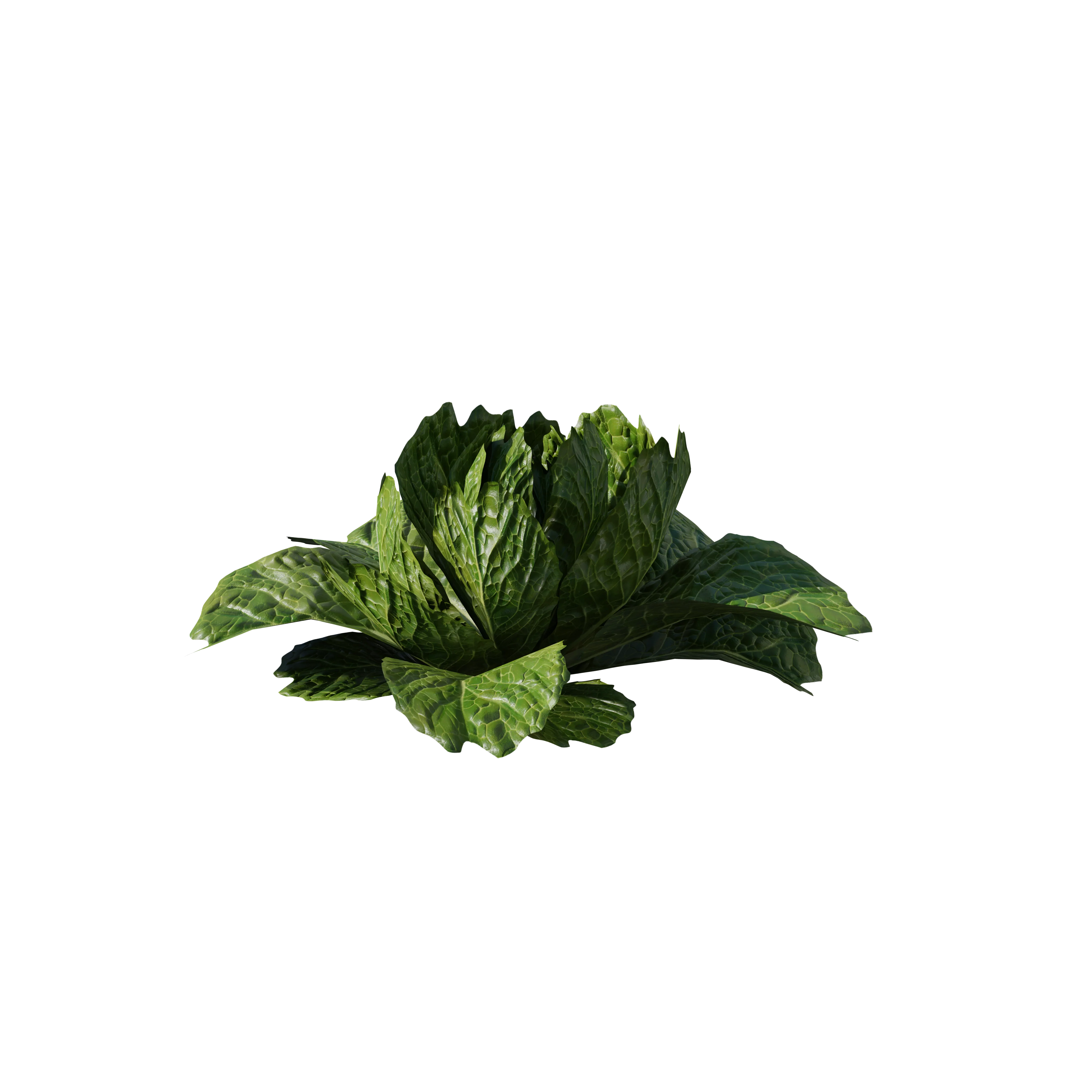 Product image 115