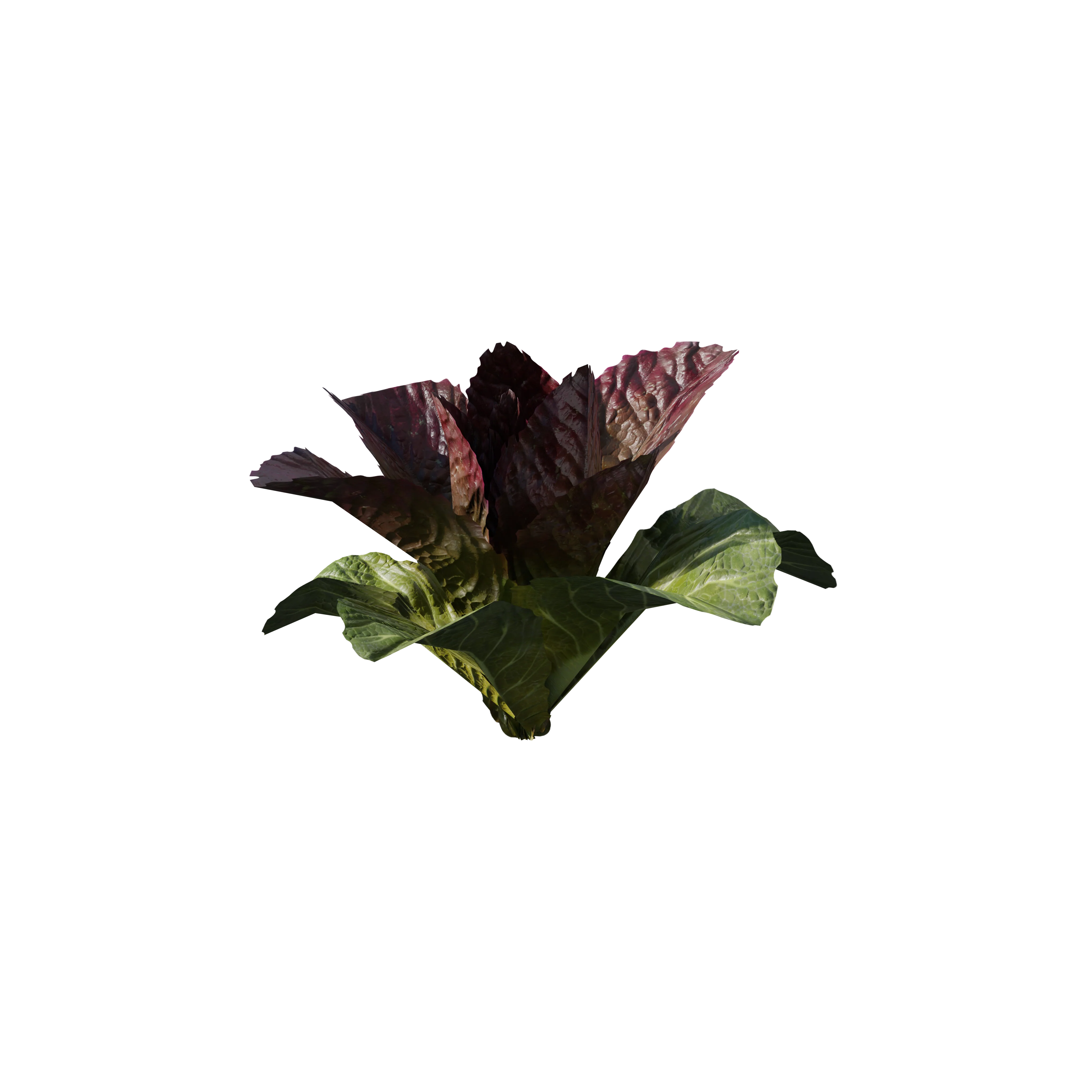 Product image 117