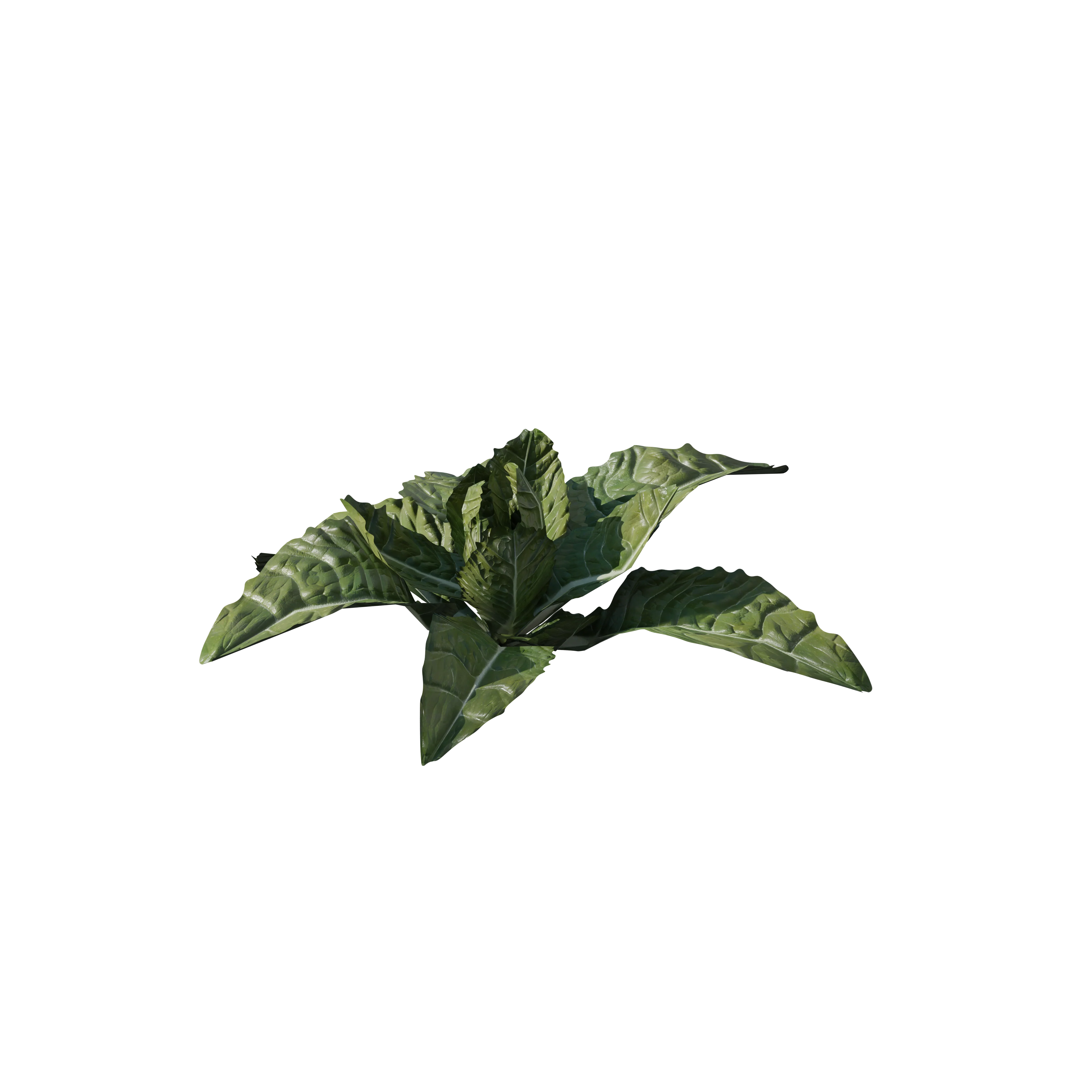 Product image 119