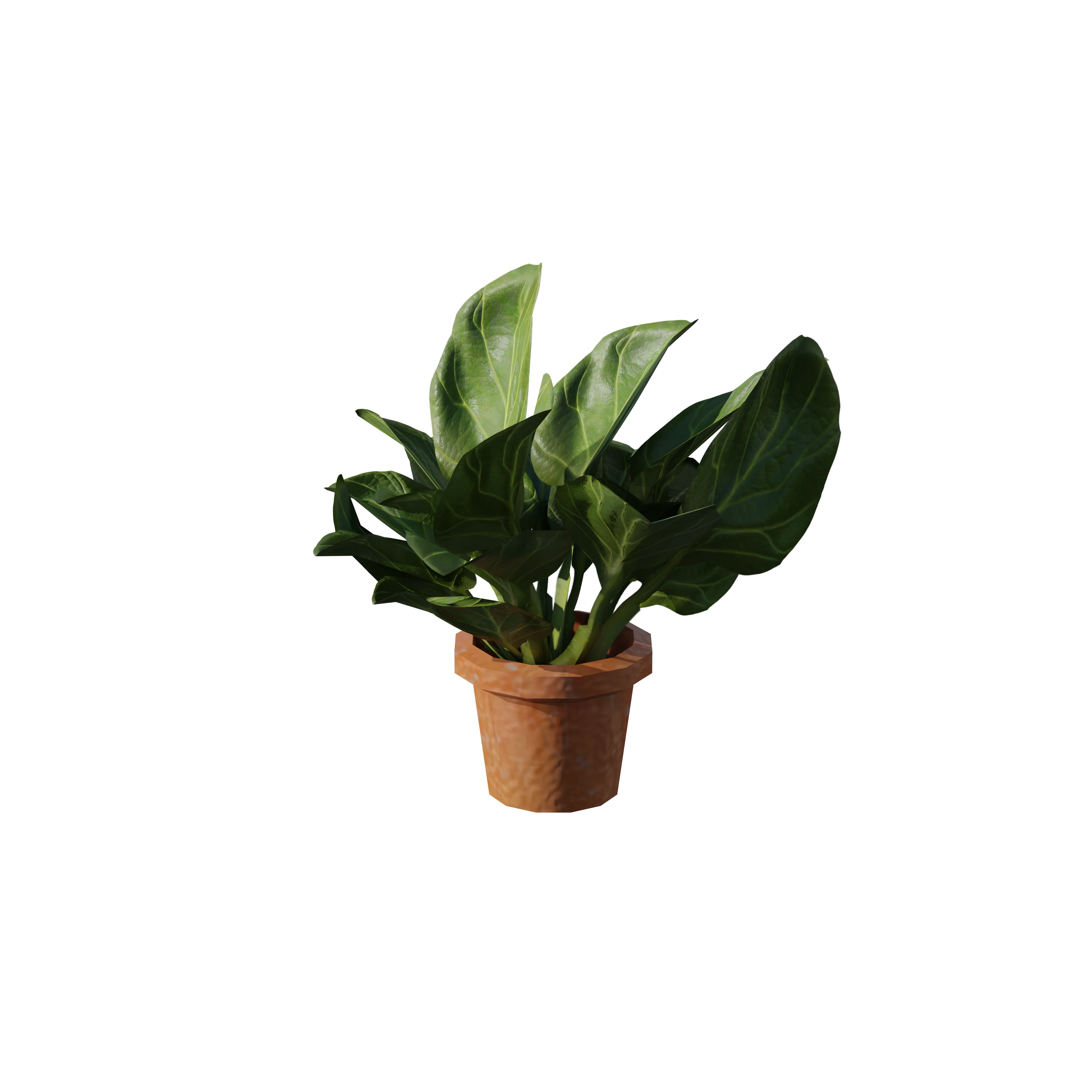 Product image 121