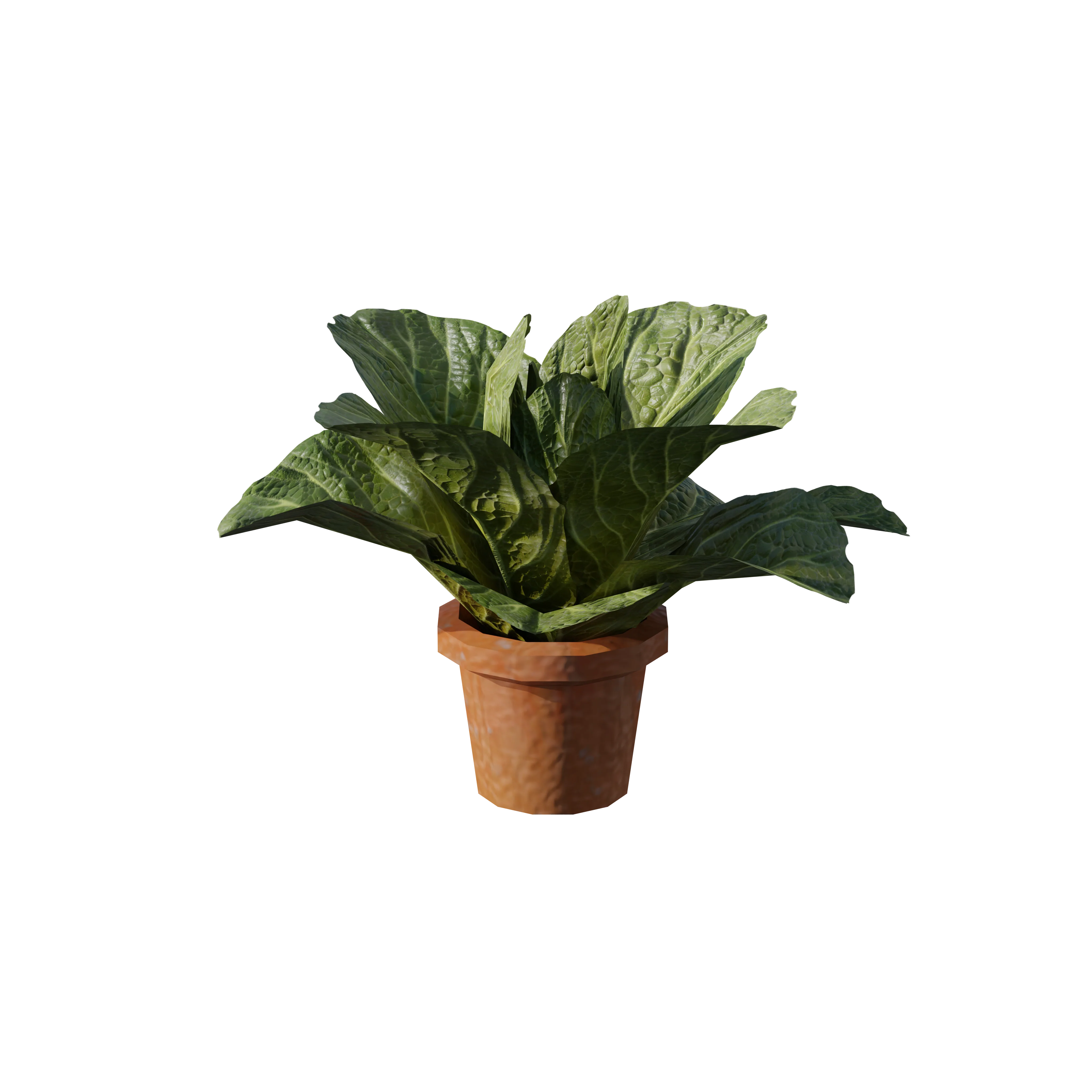 Product image 122