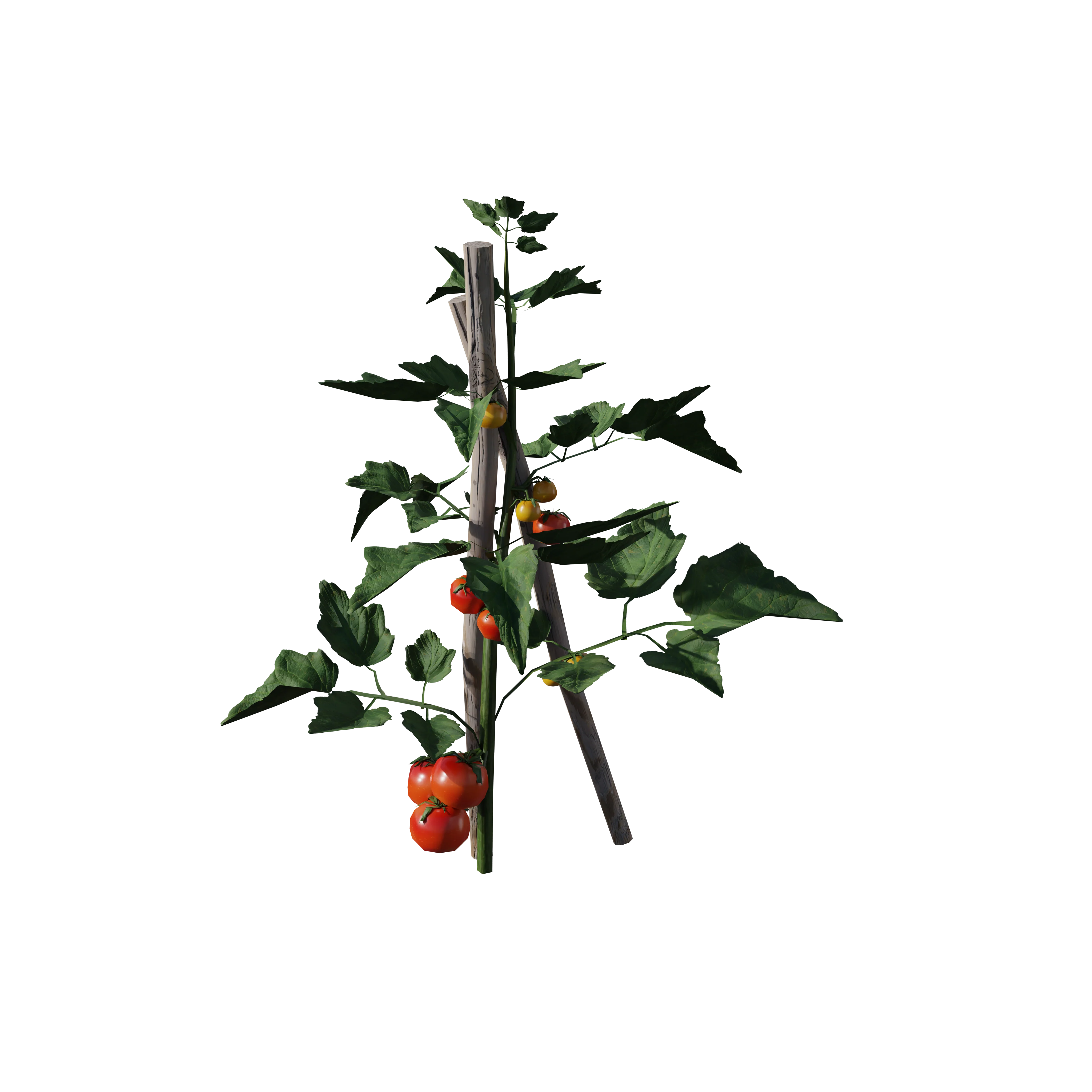 Product image 172