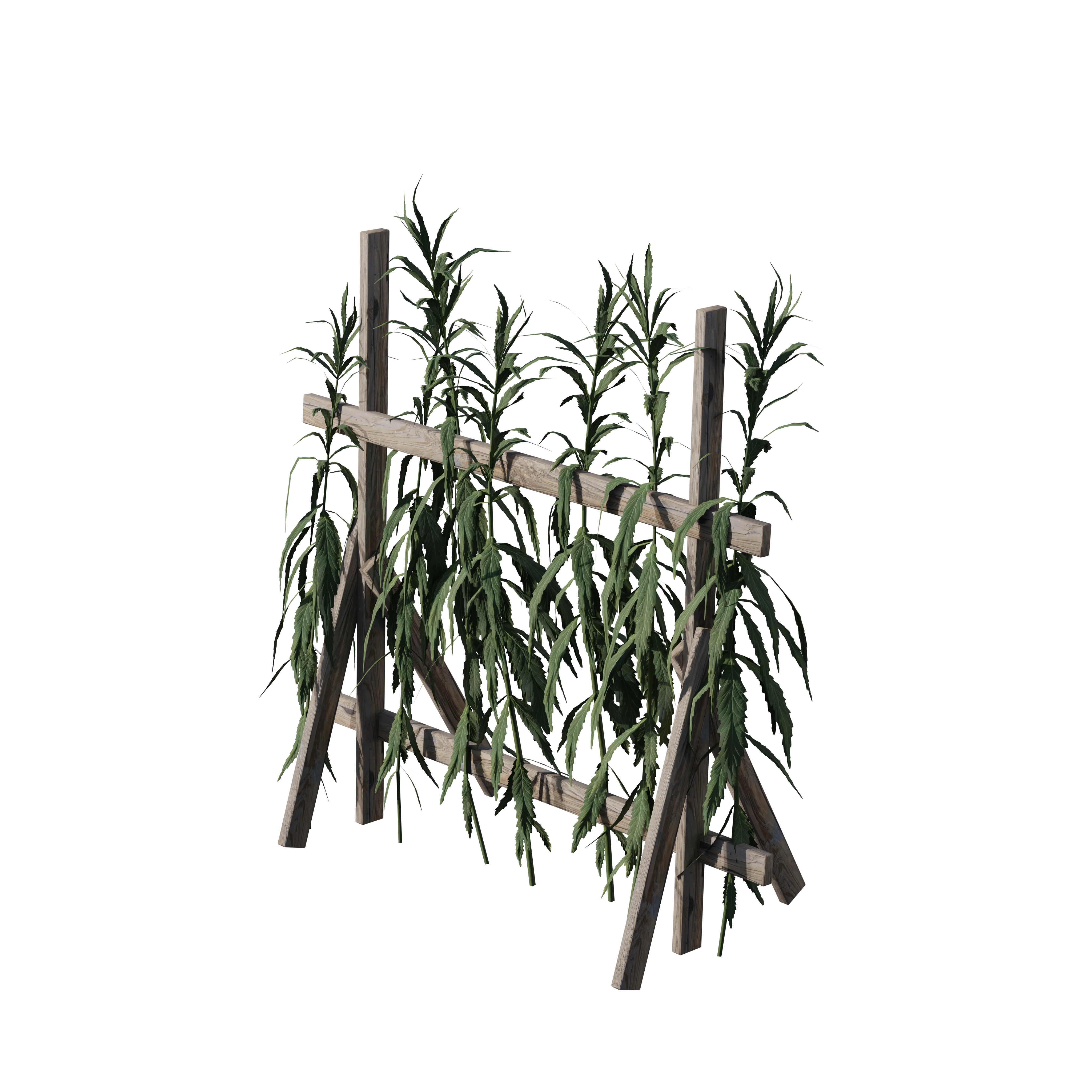 Product image 72