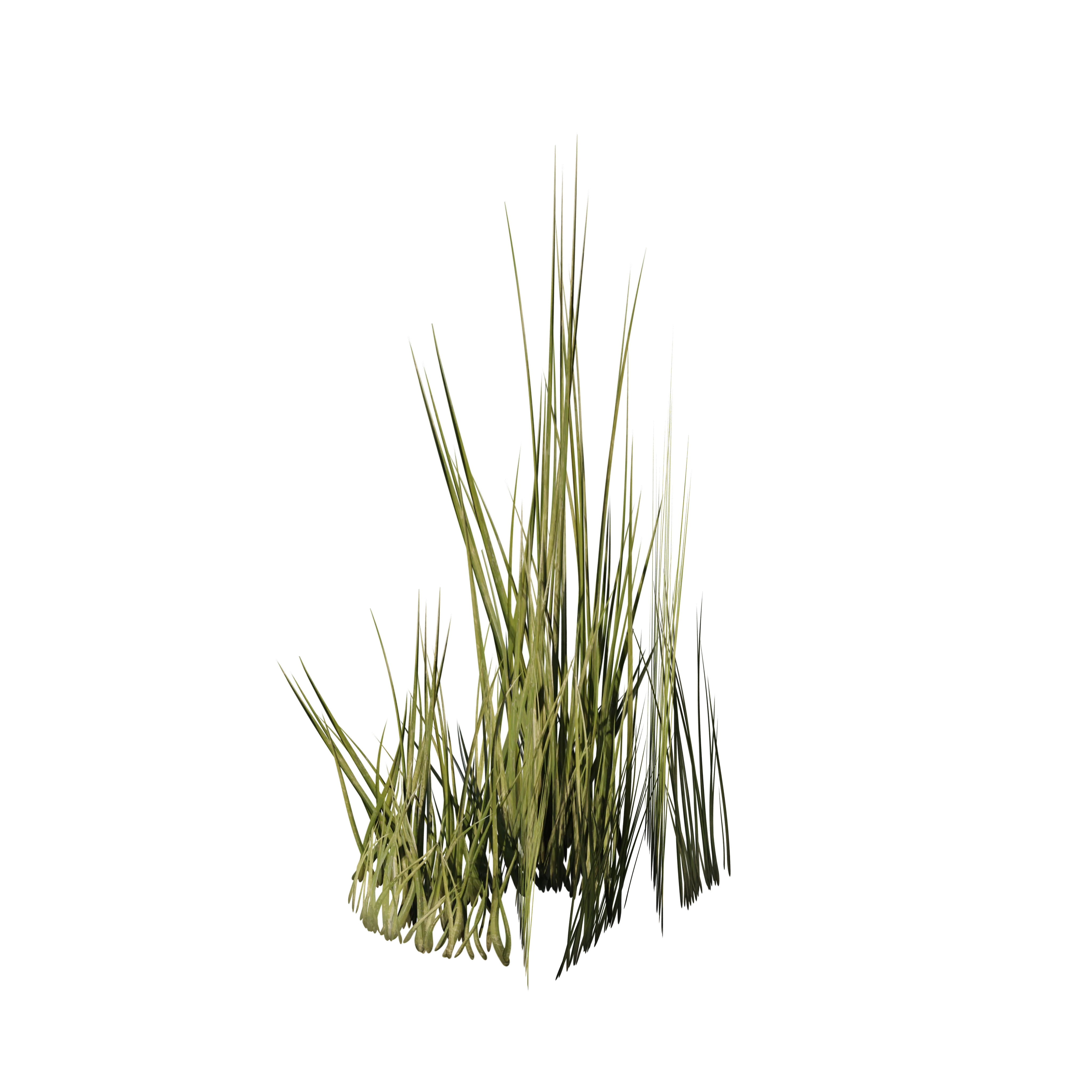 Product image 97