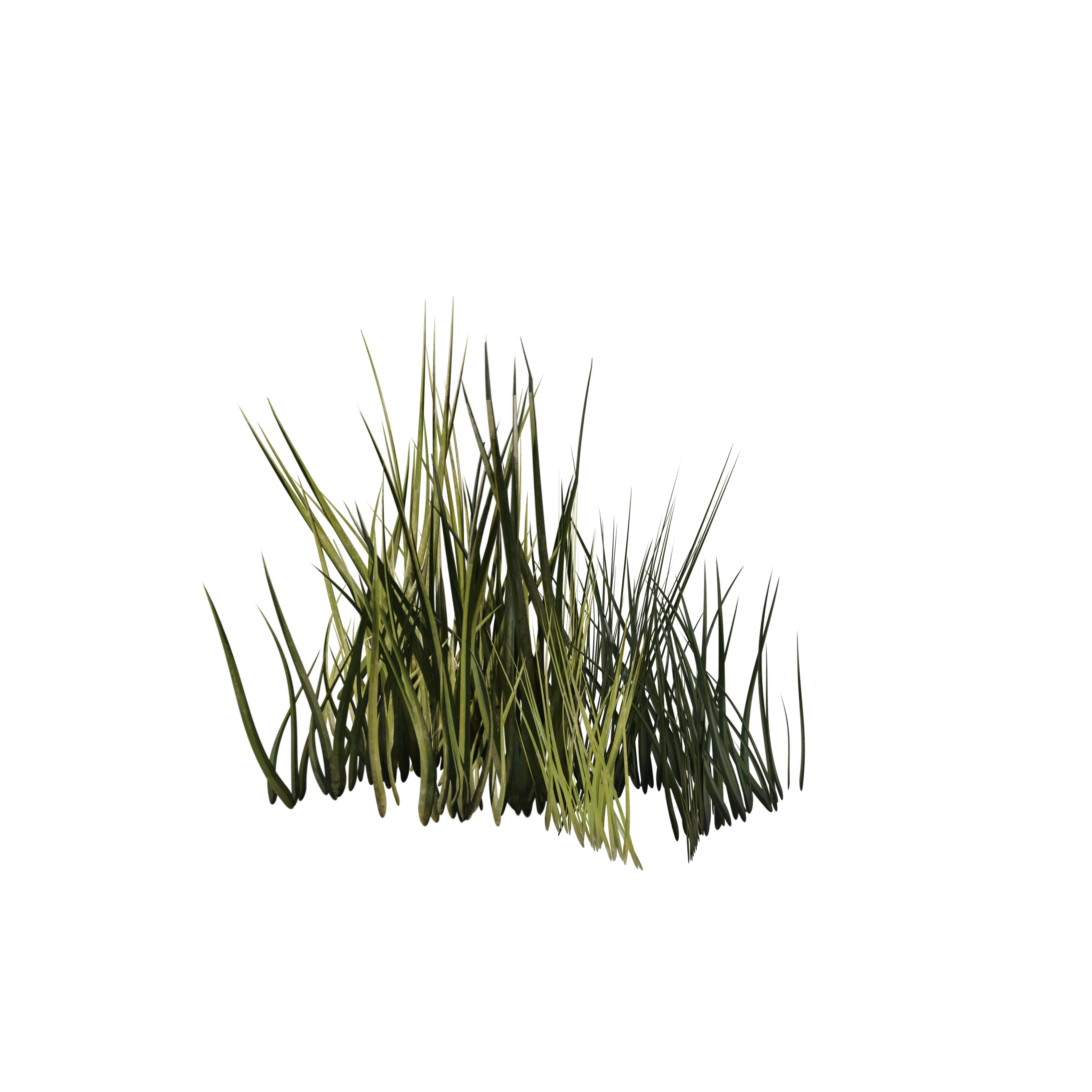 Product image 99