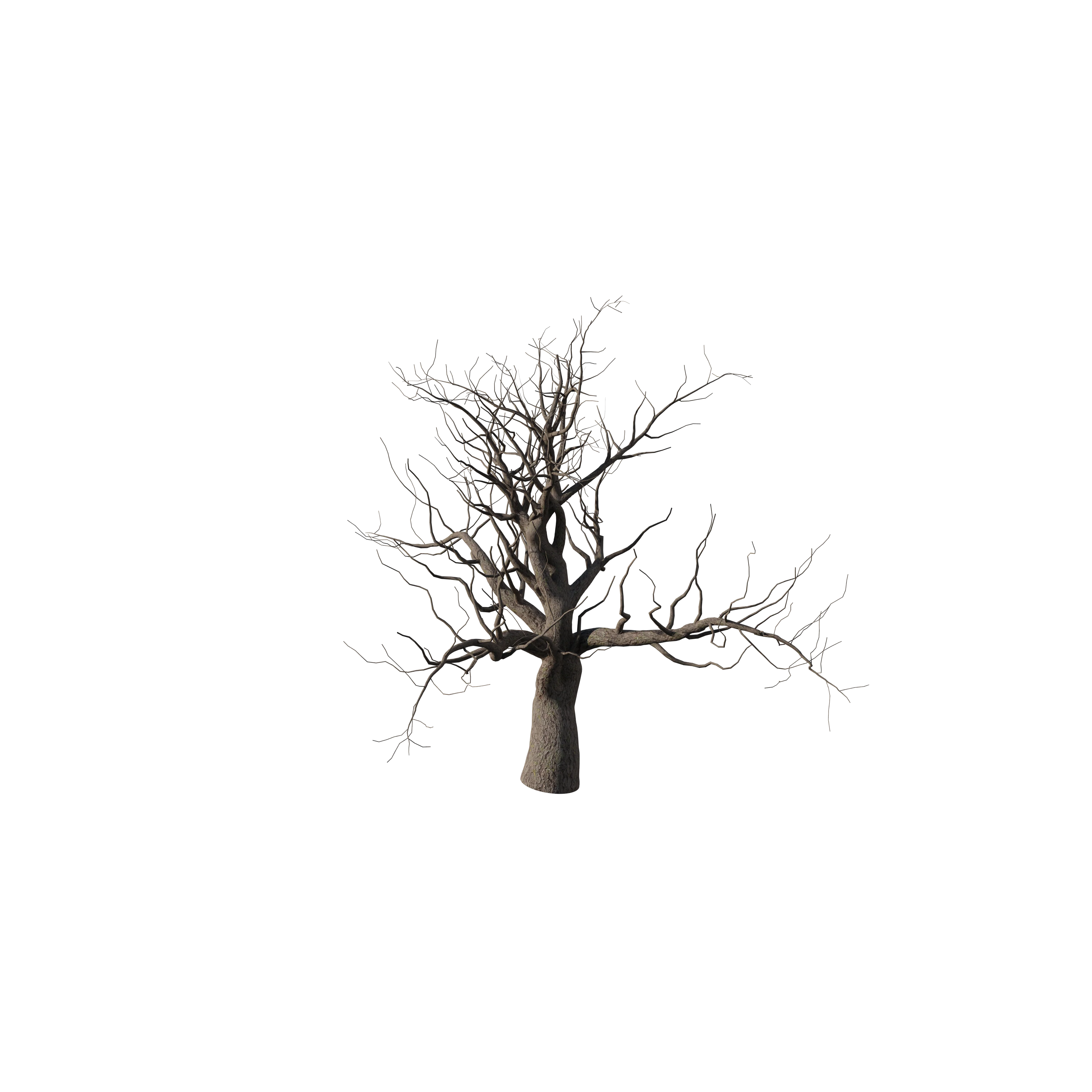 Product image 86