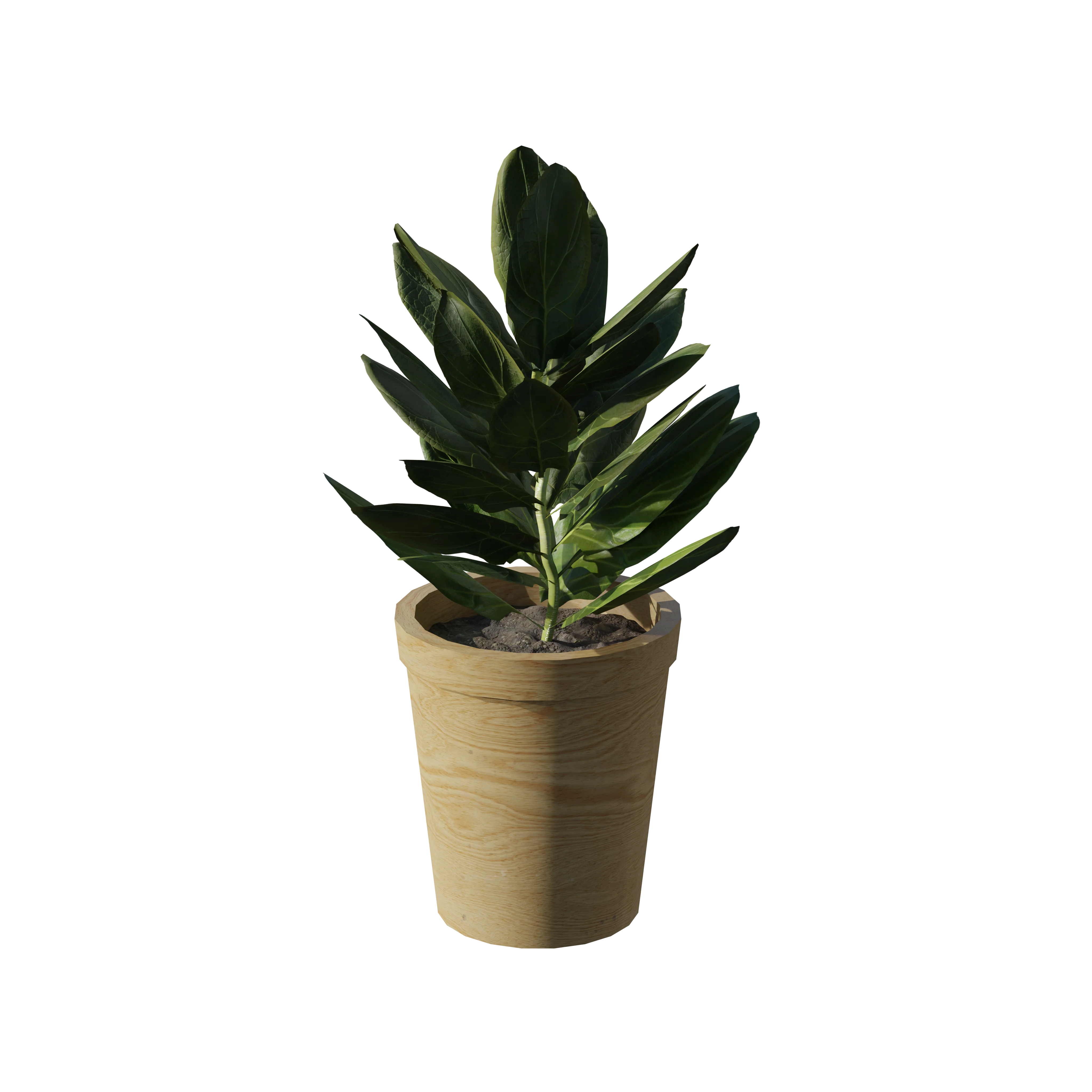 Product image 101