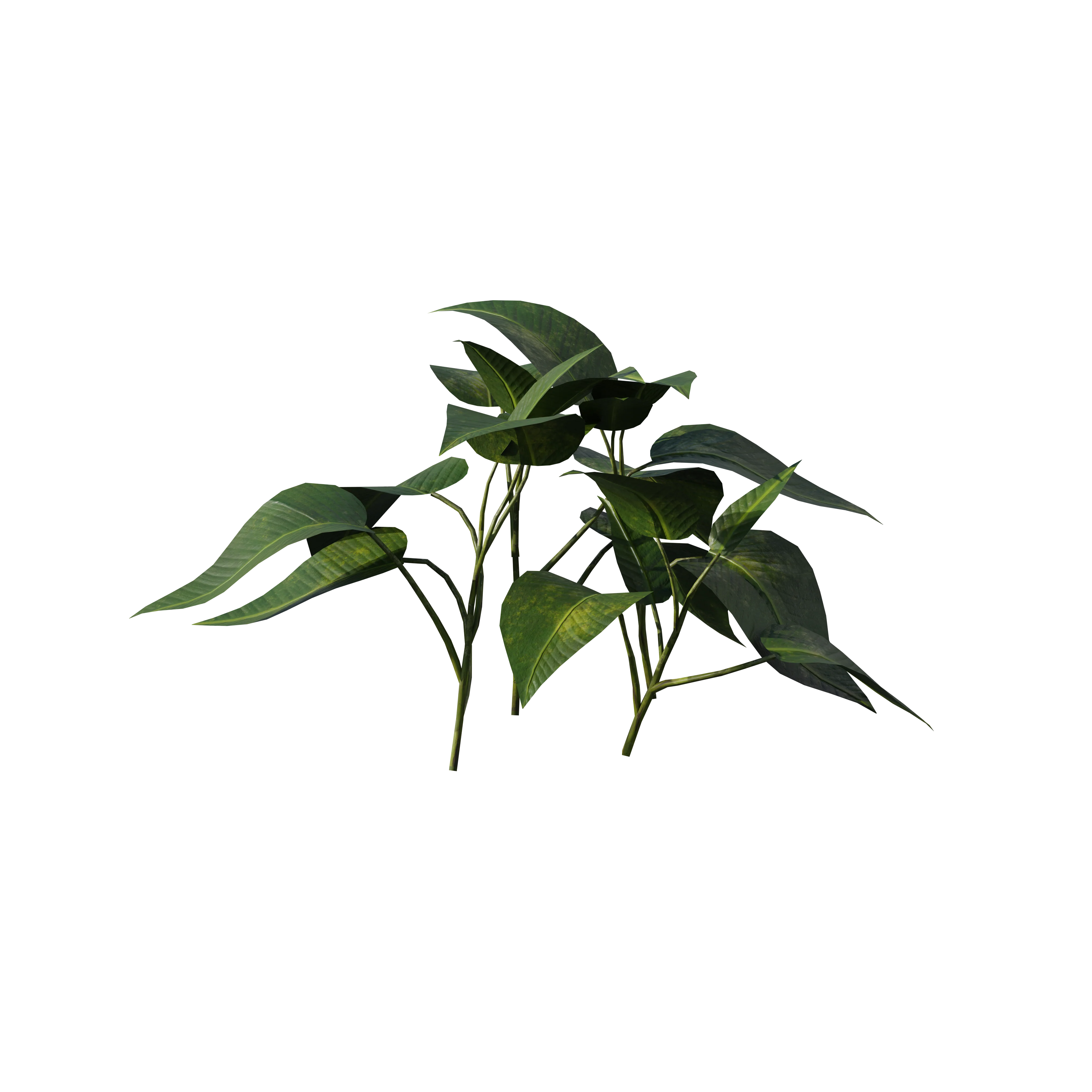 Product image 101