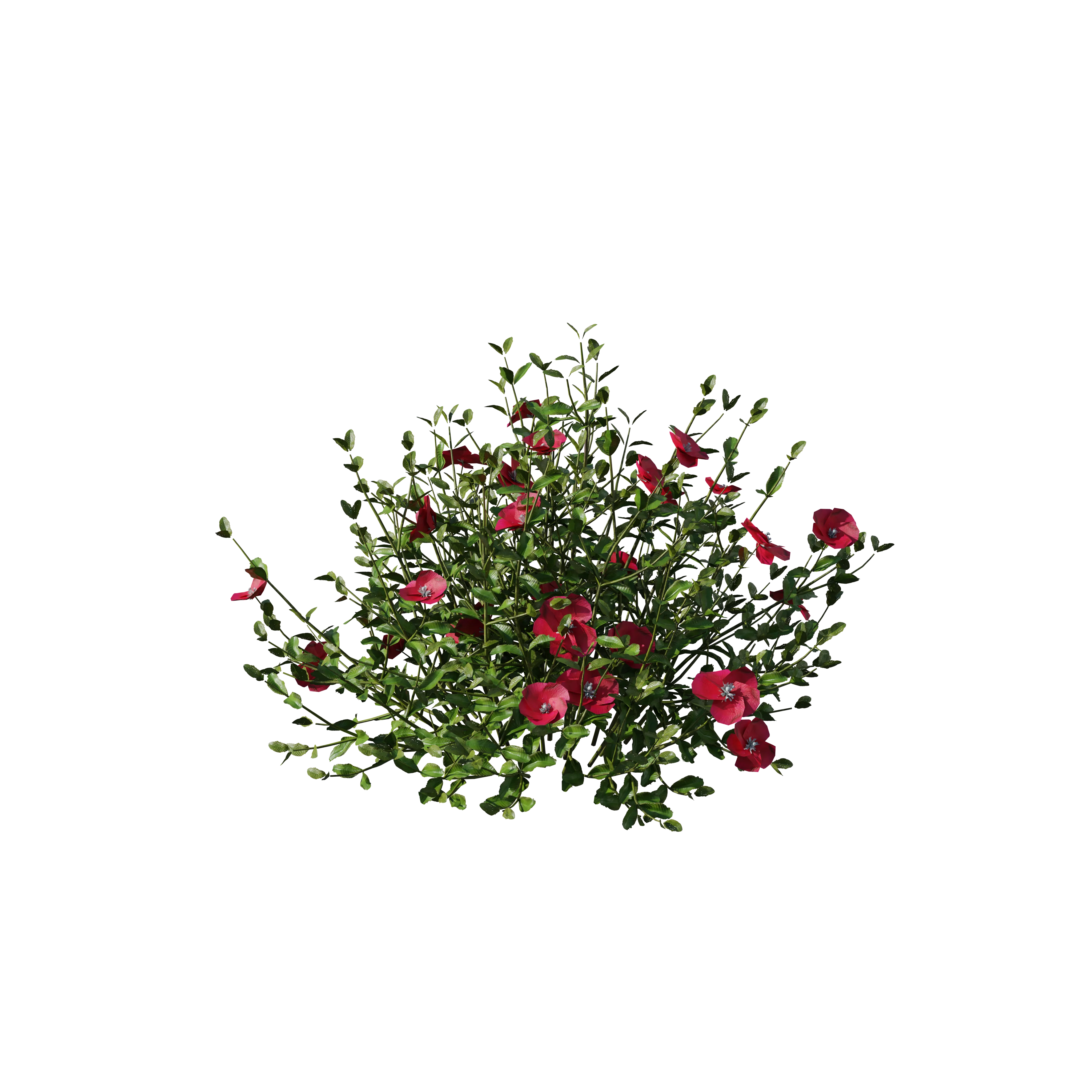 Product image 110