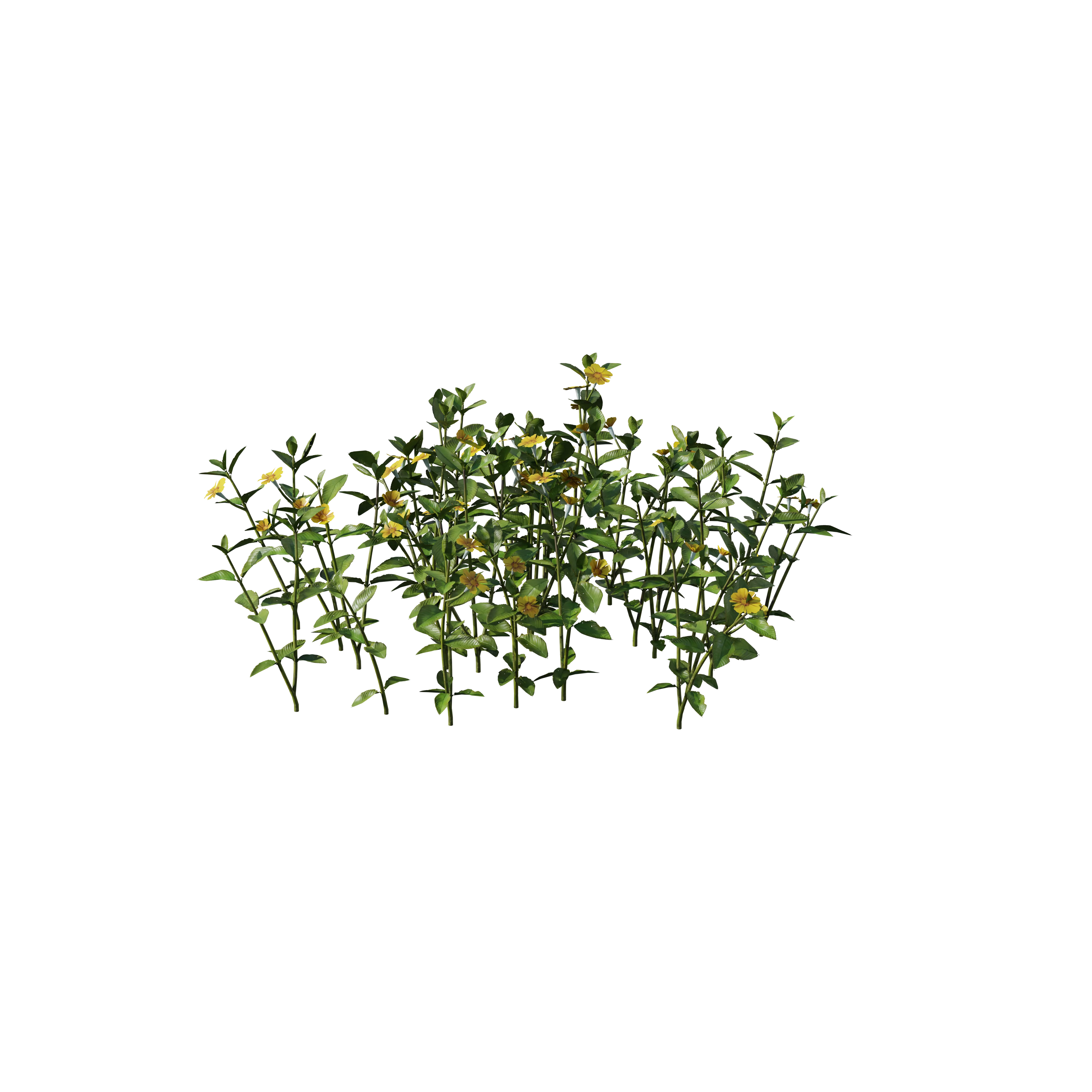 Product image 111
