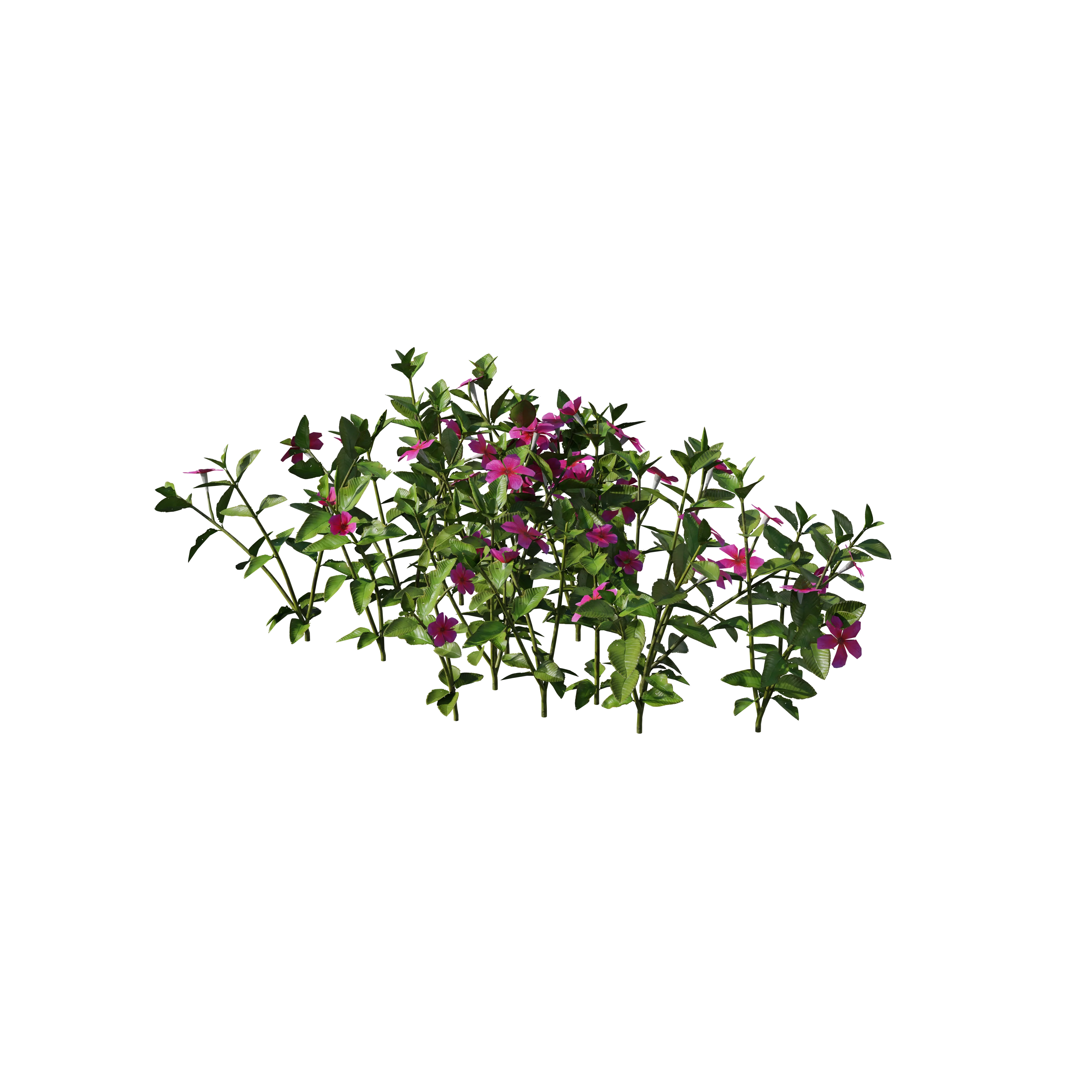 Product image 112