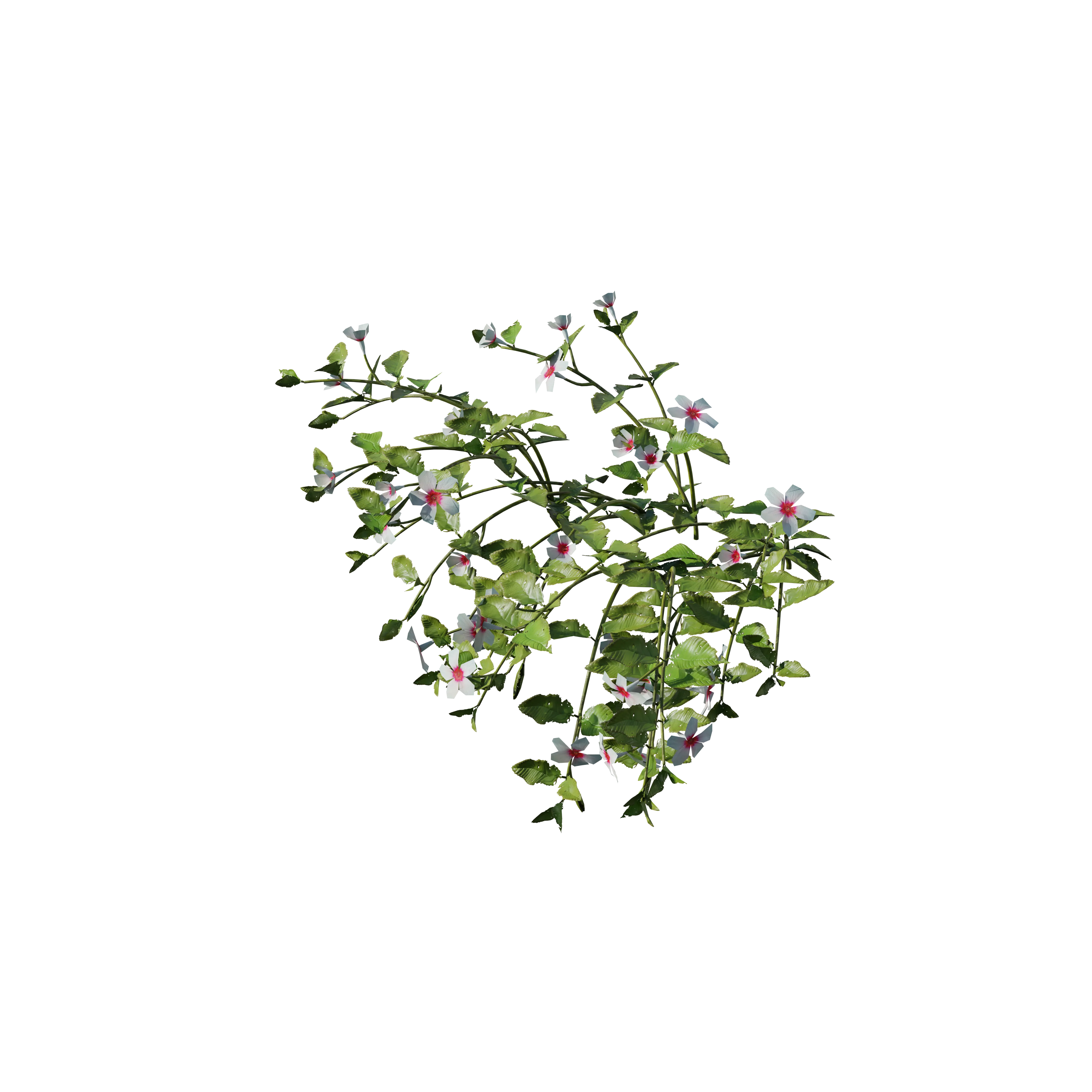 Product image 113