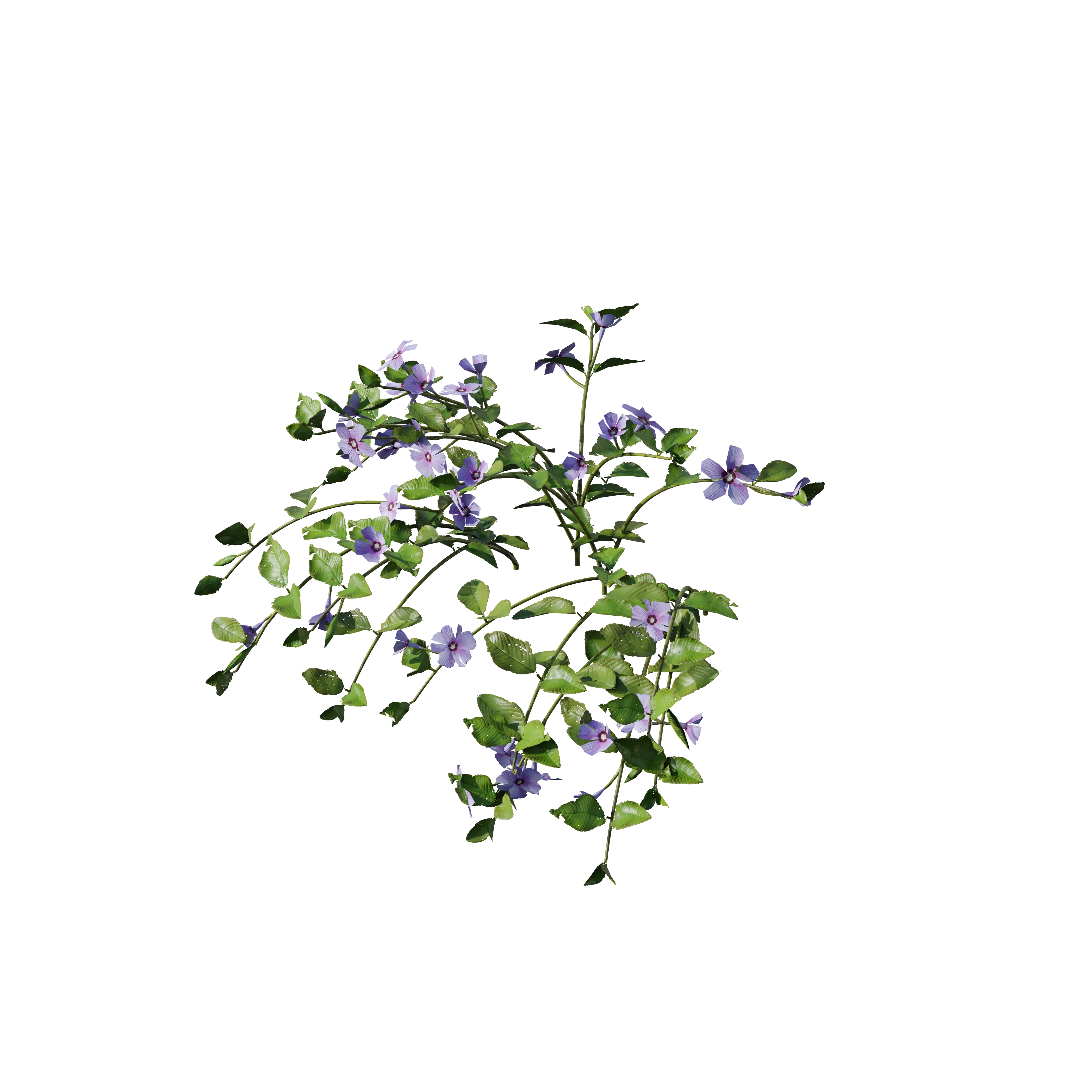 Product image 114
