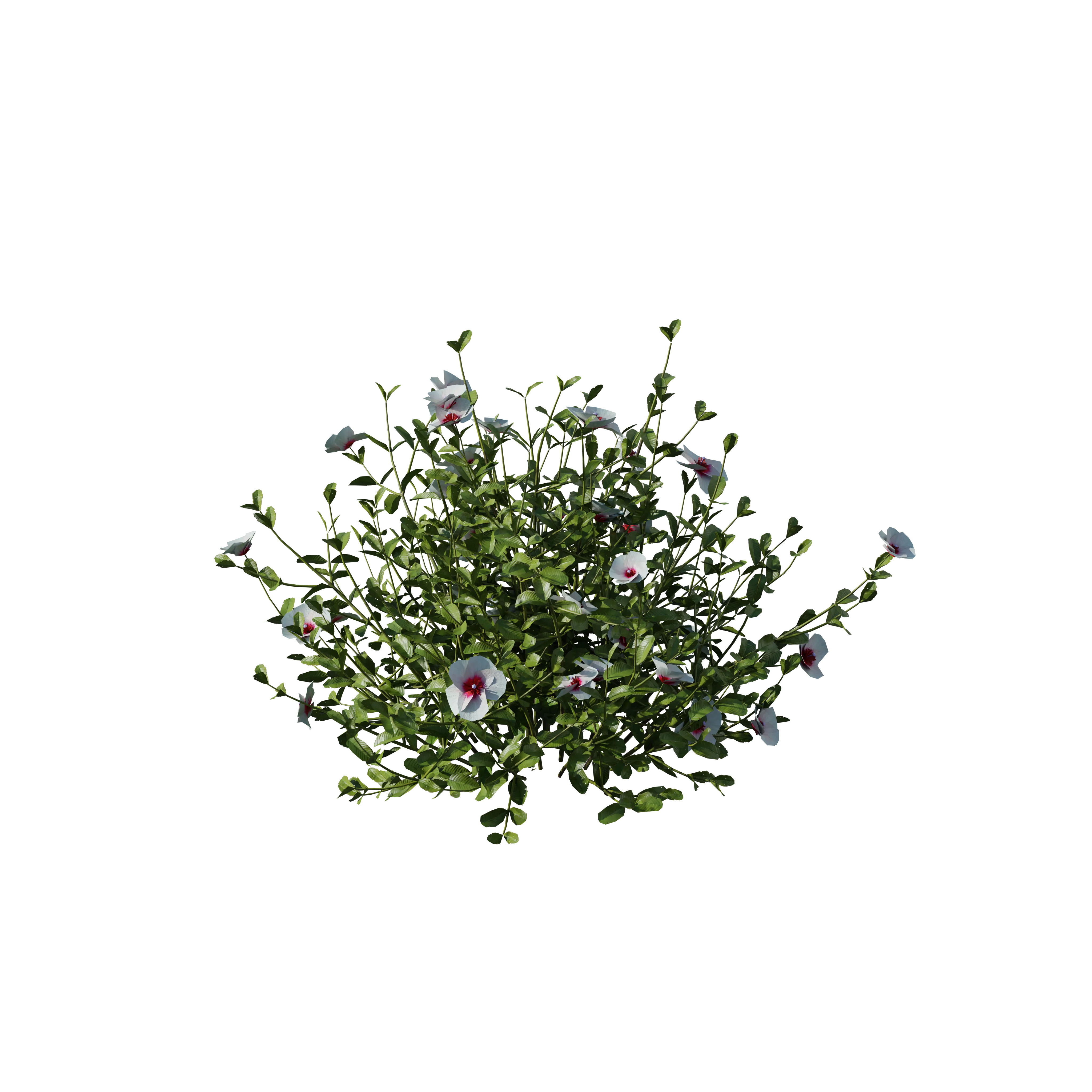 Product image 115