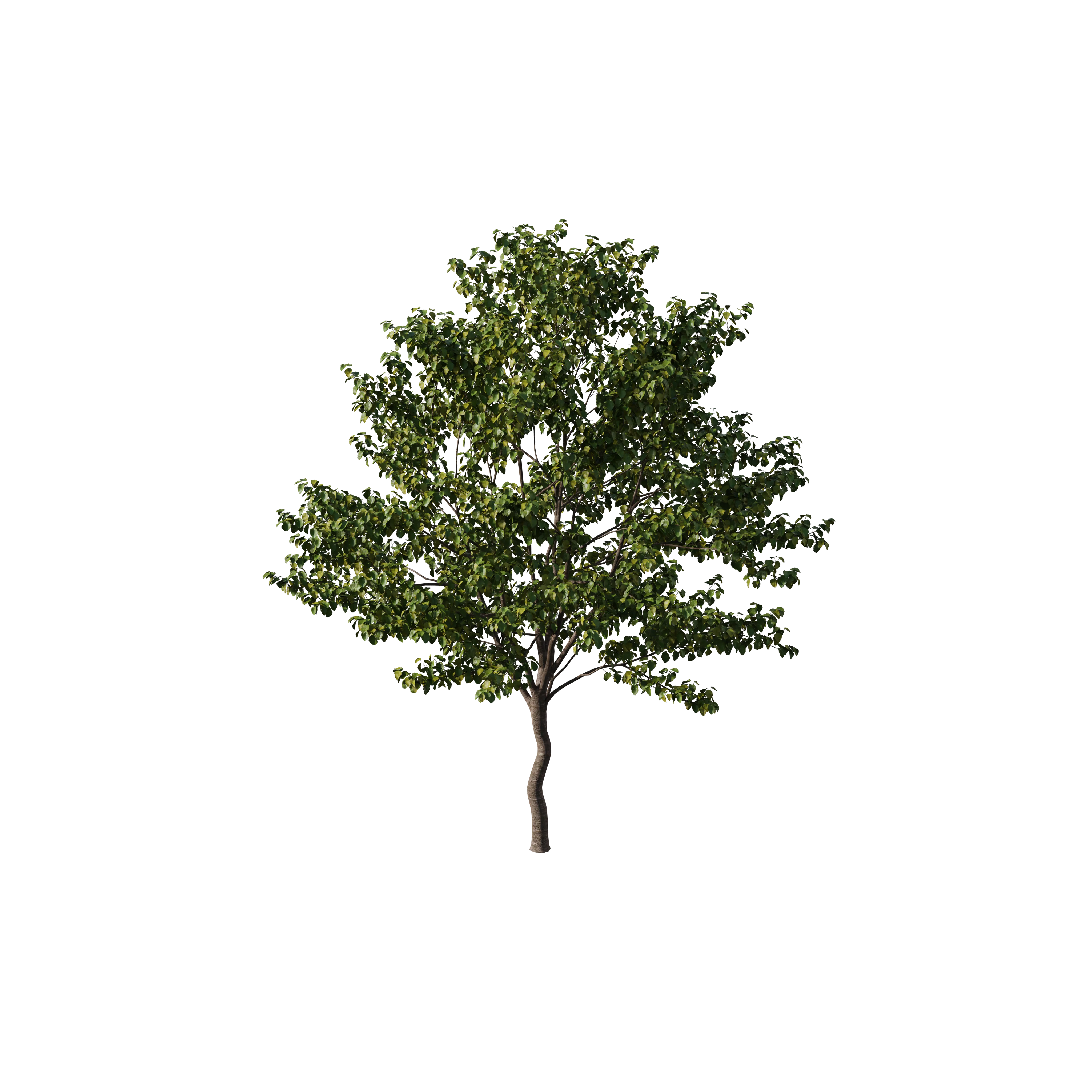 Product image 130