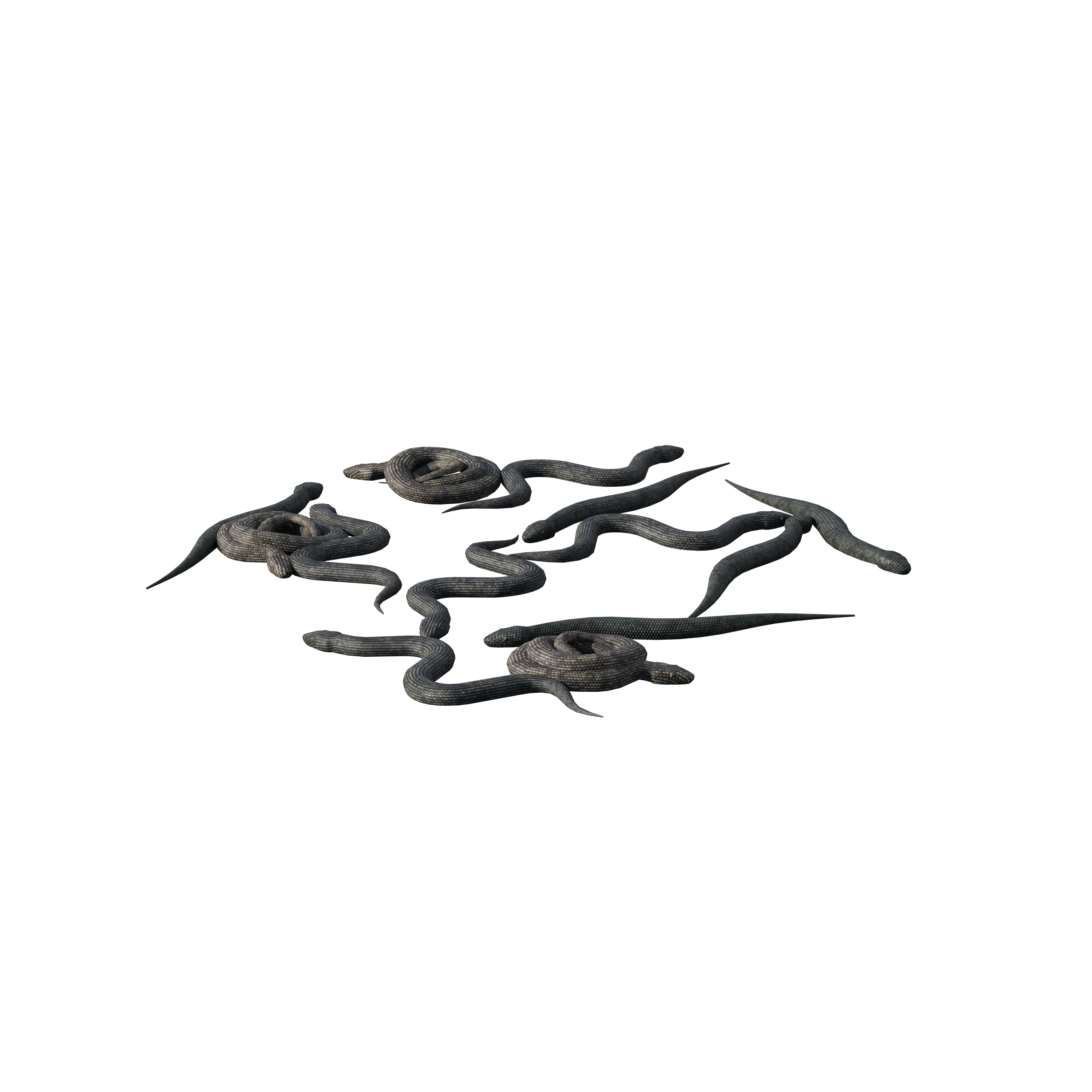Product image 100