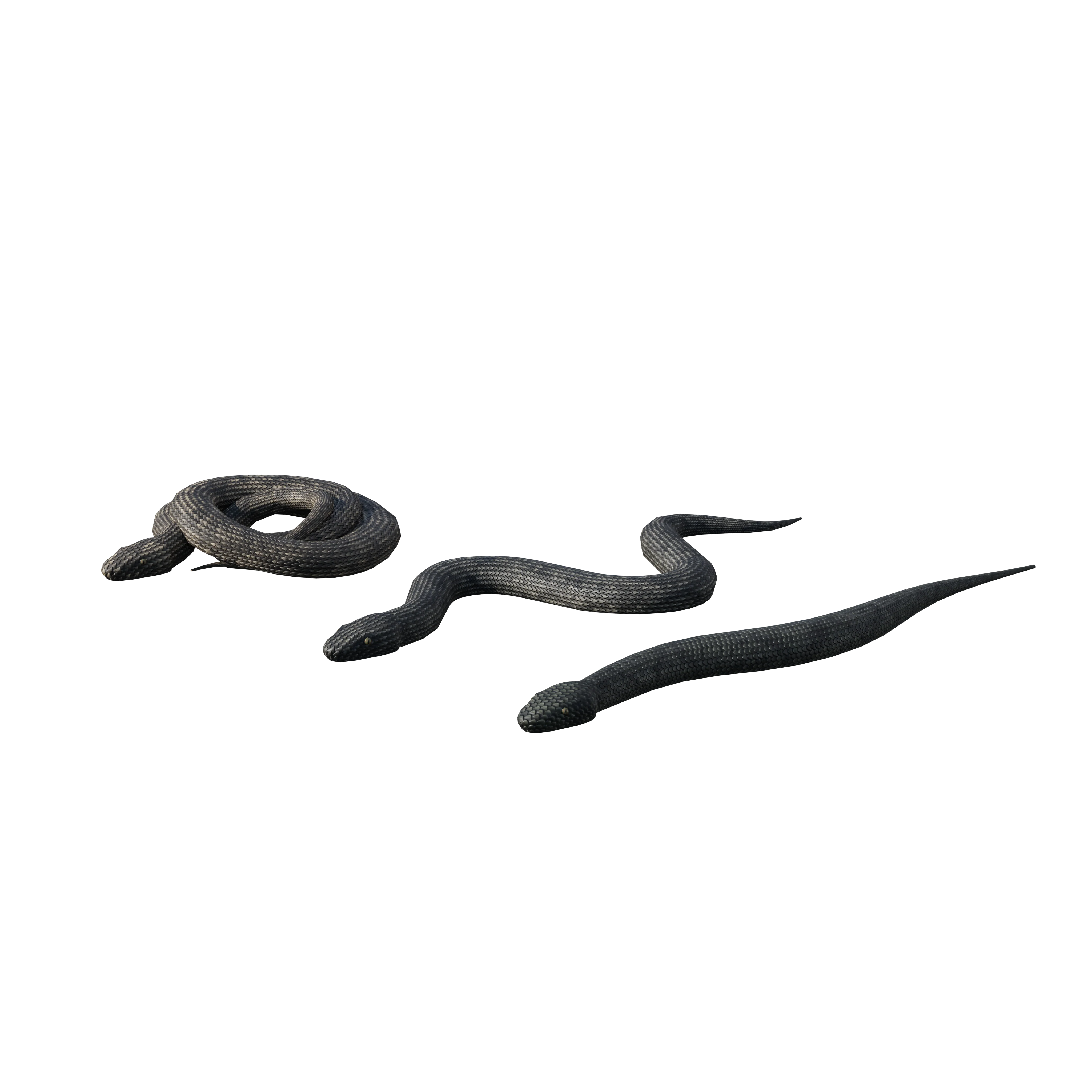 Product image 101