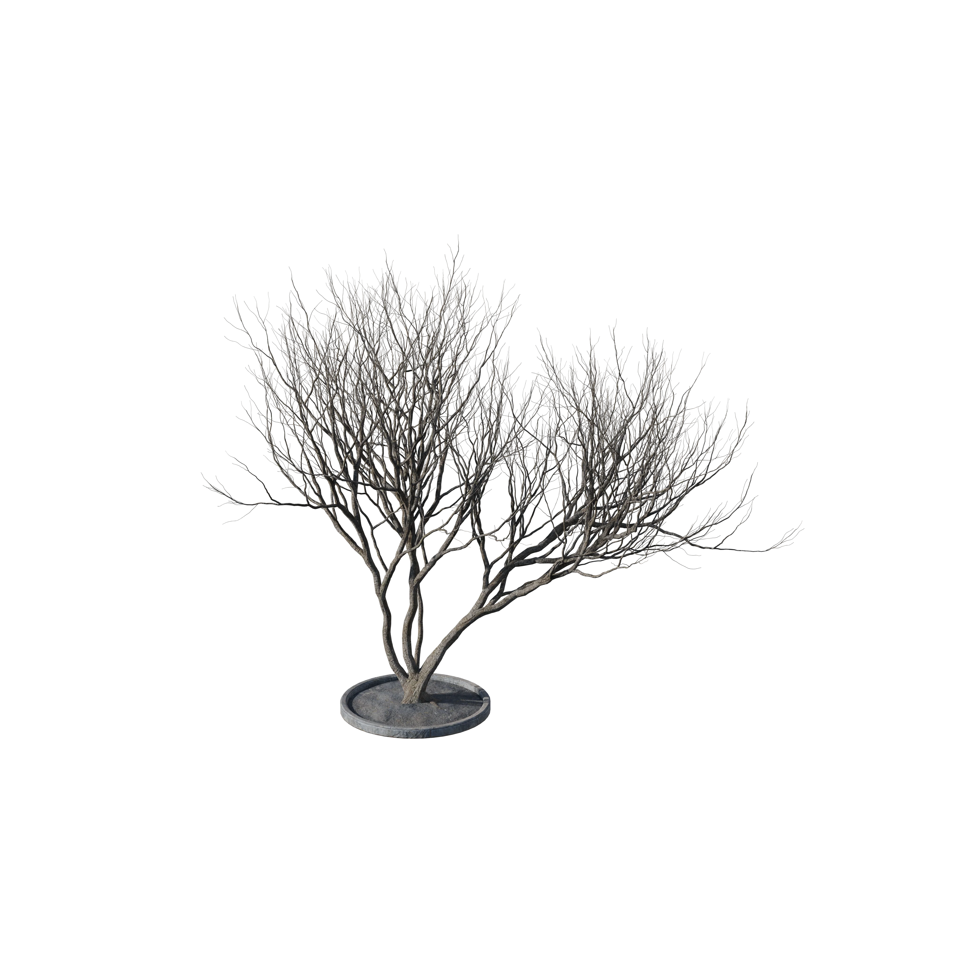 Product image 115