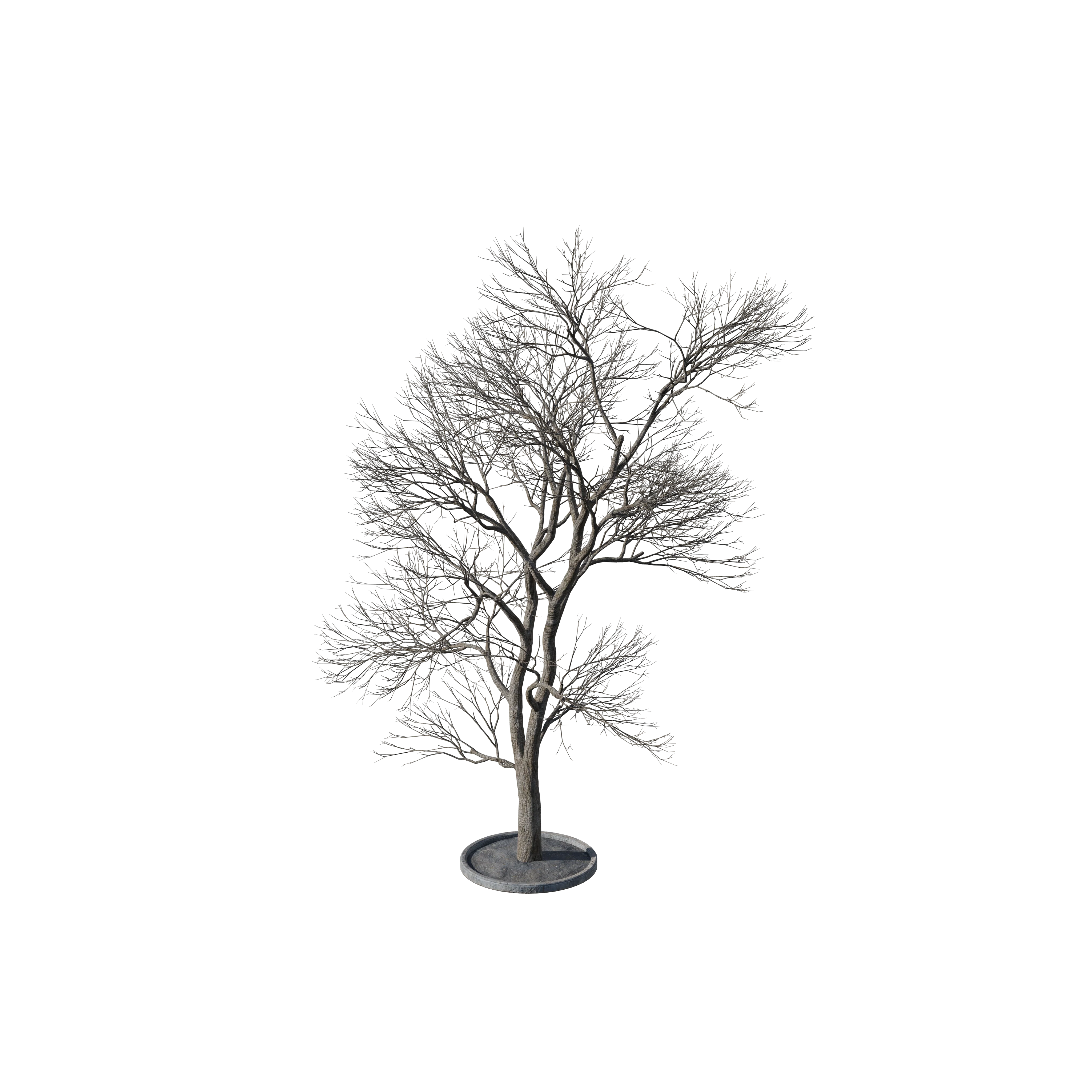 Product image 116