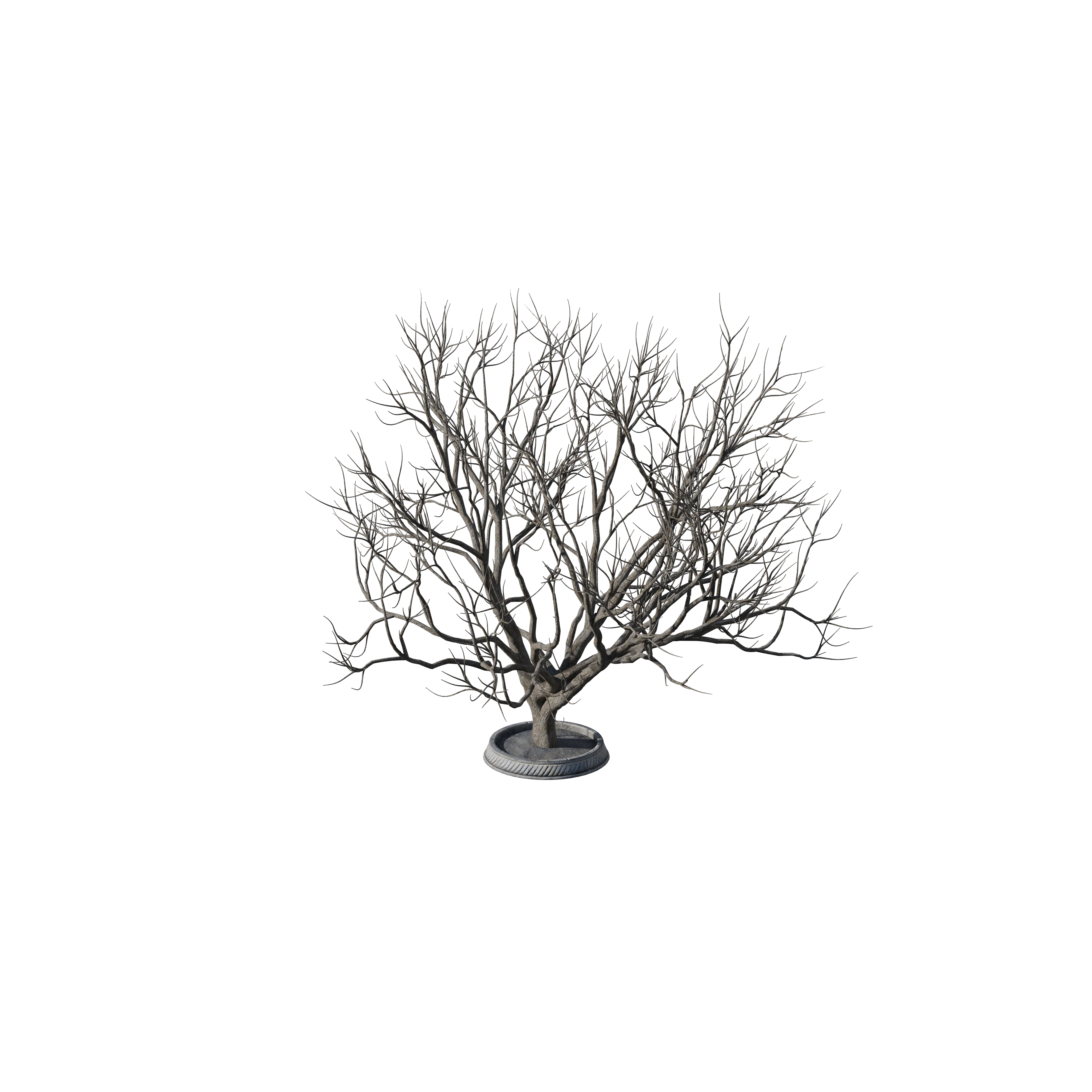 Product image 117