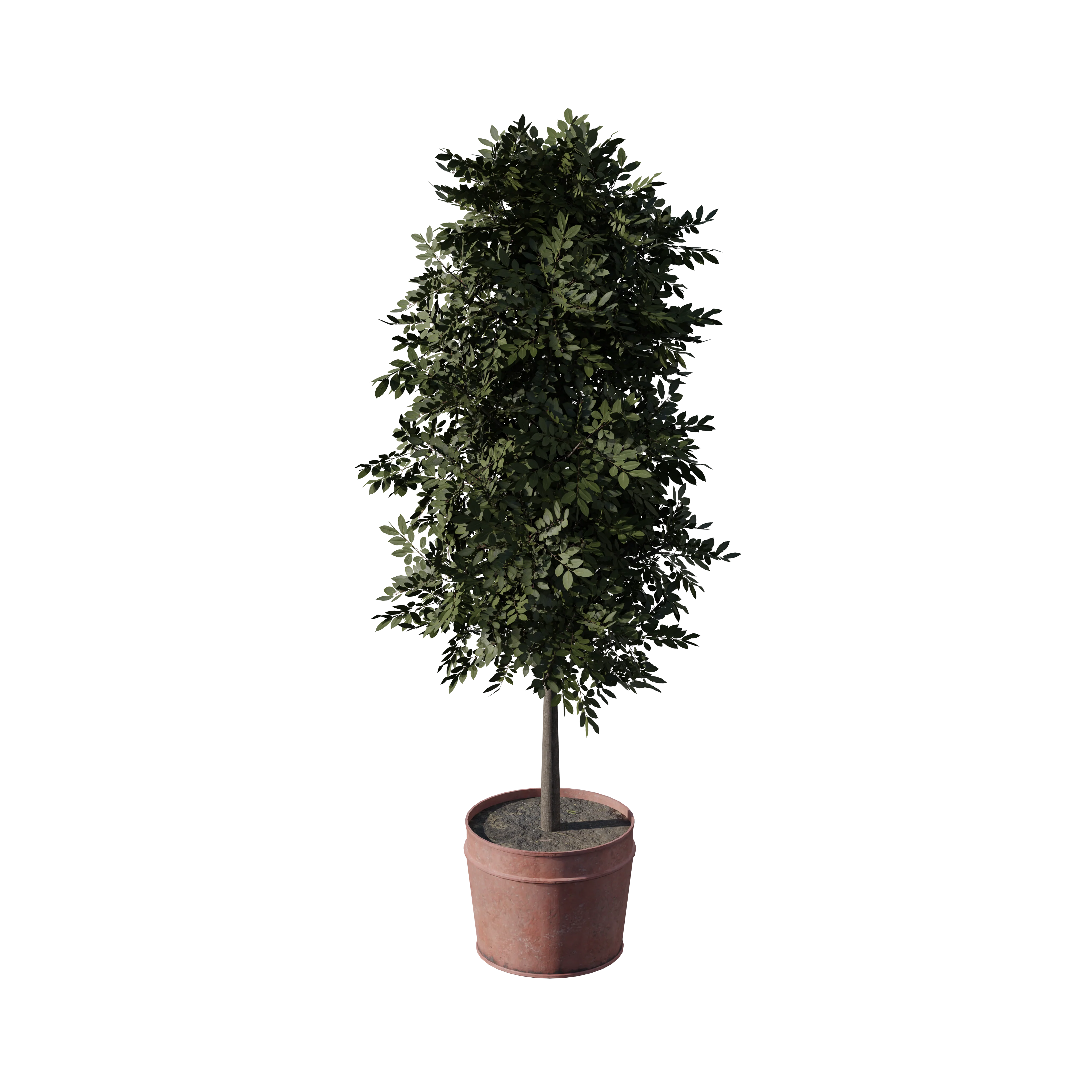 Product image 101
