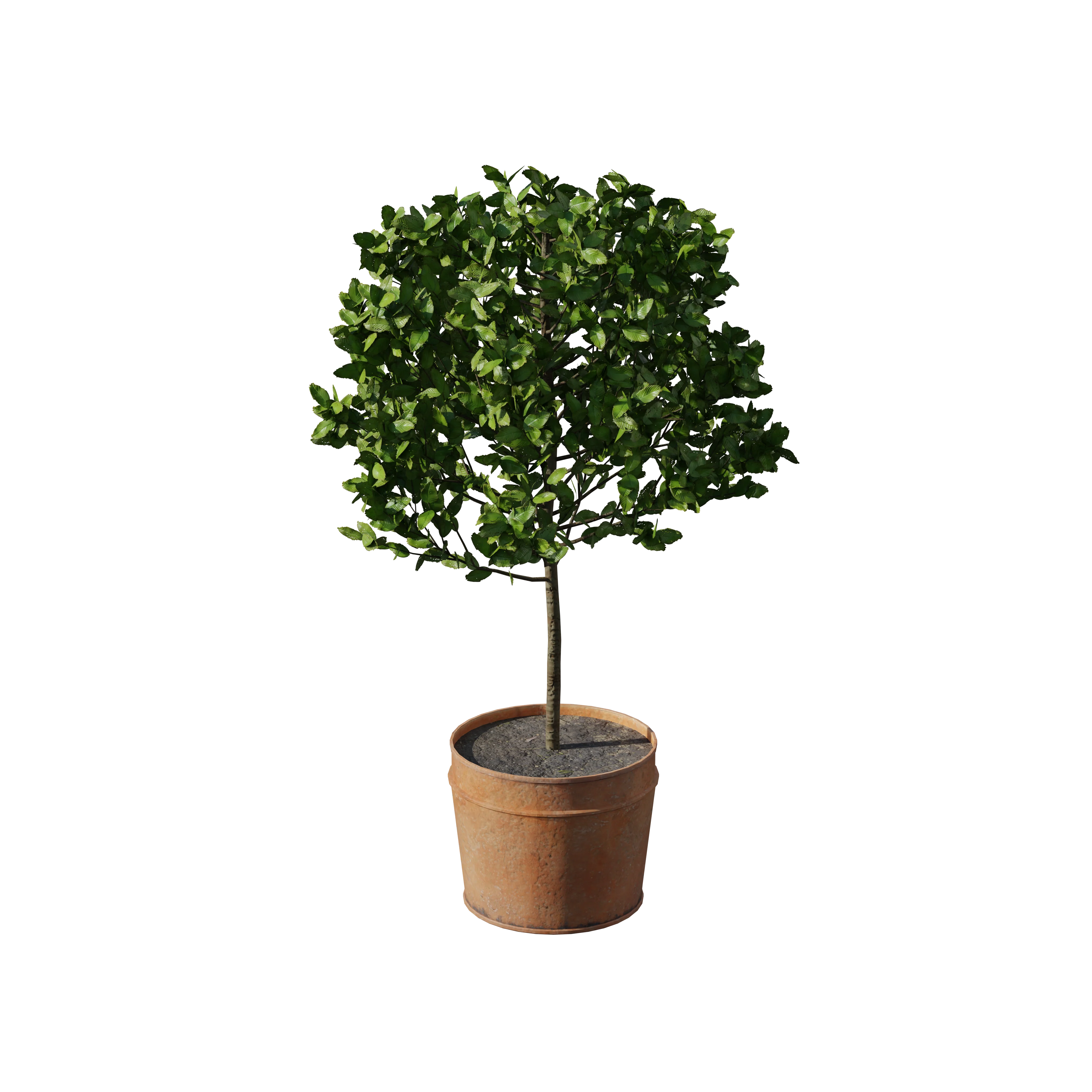Product image 103