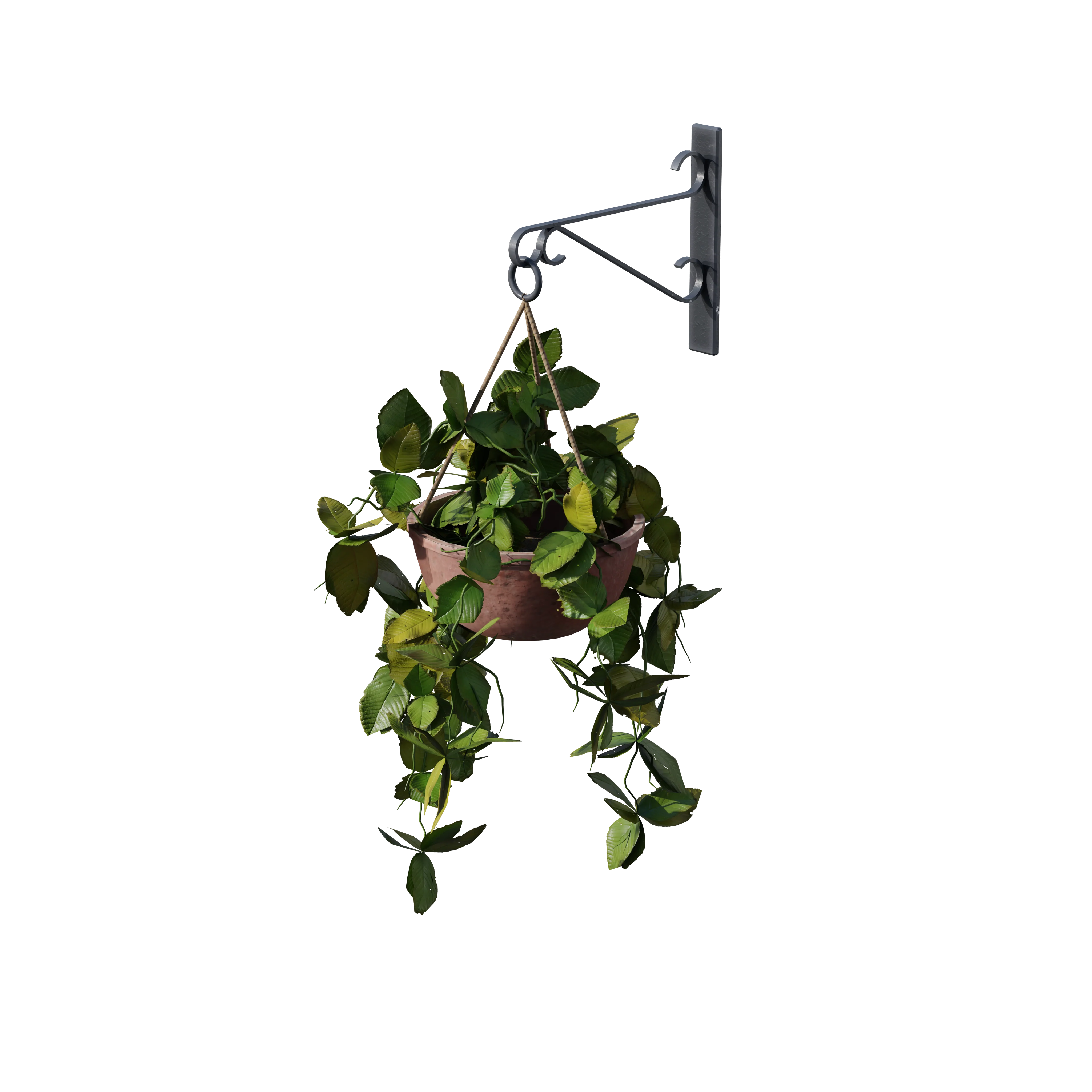 Product image 101