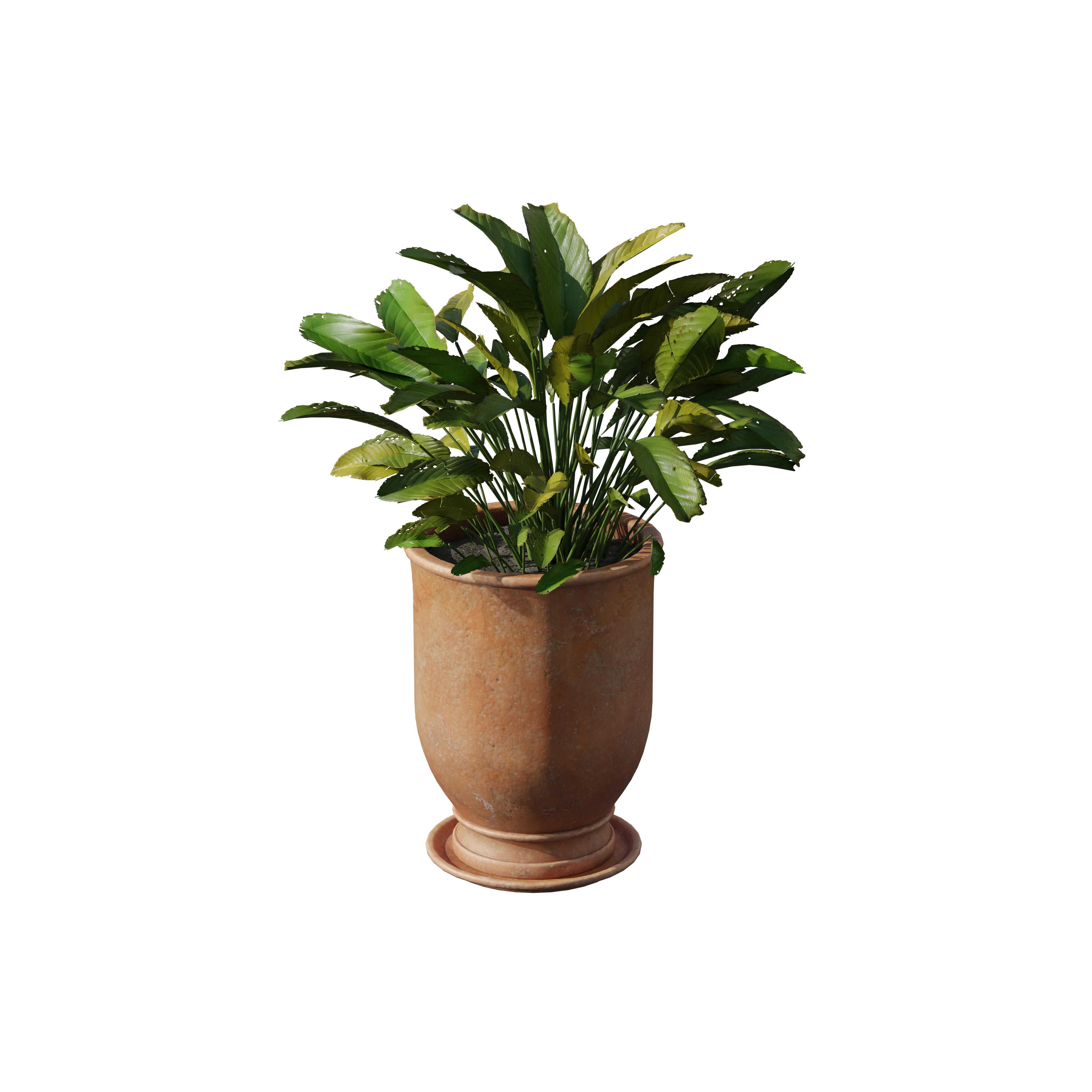 Product image 104