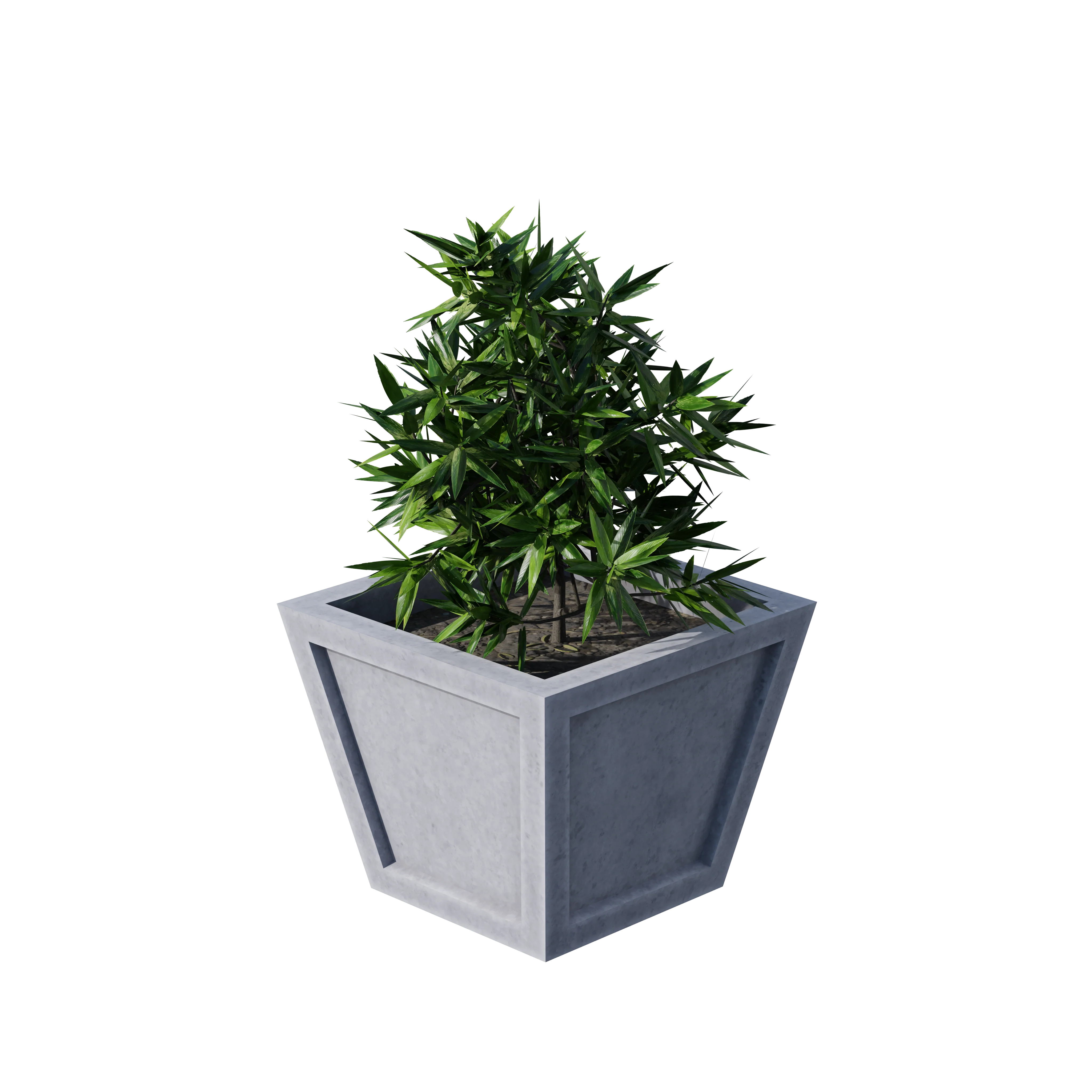 Product image 123