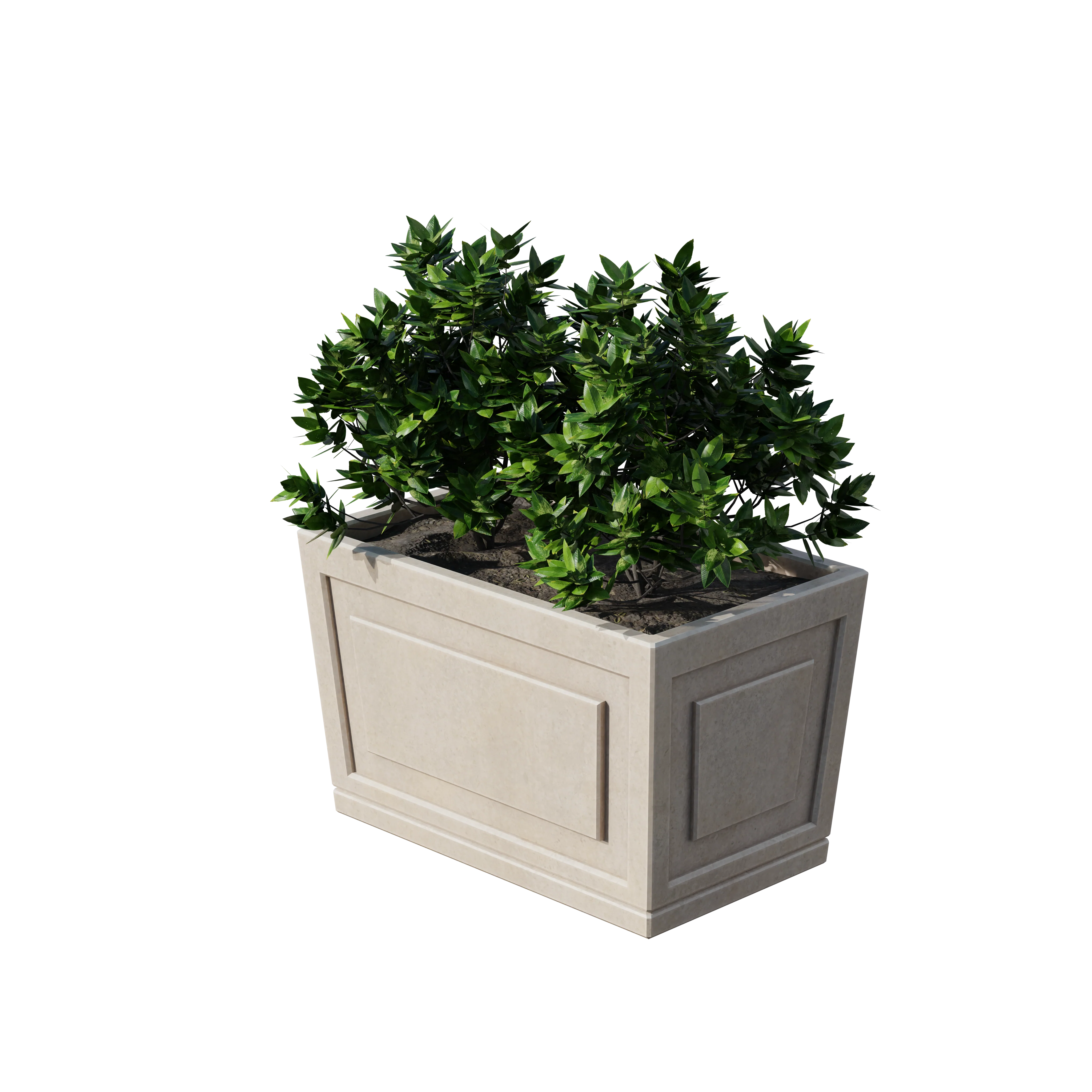 Product image 124