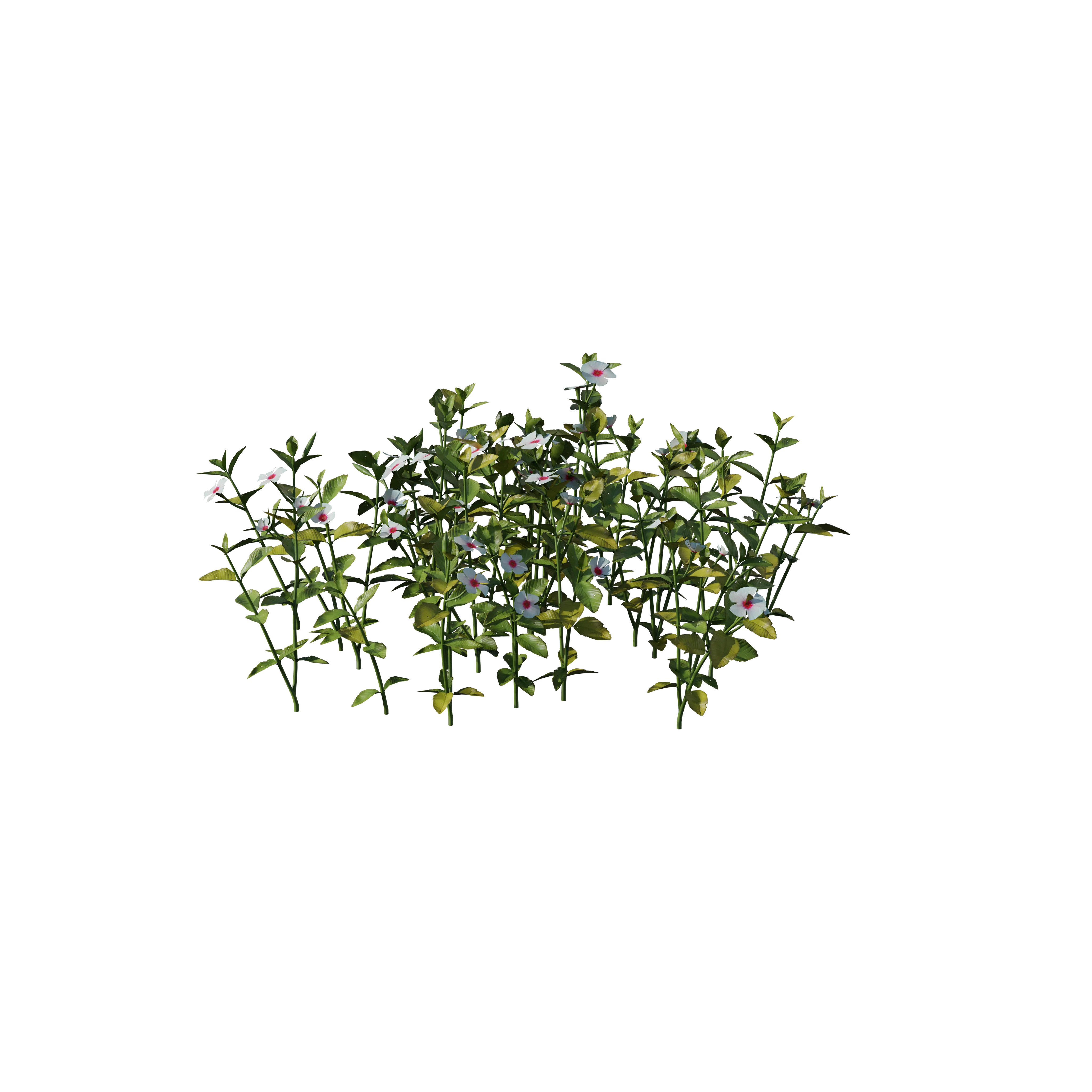 Product image 133