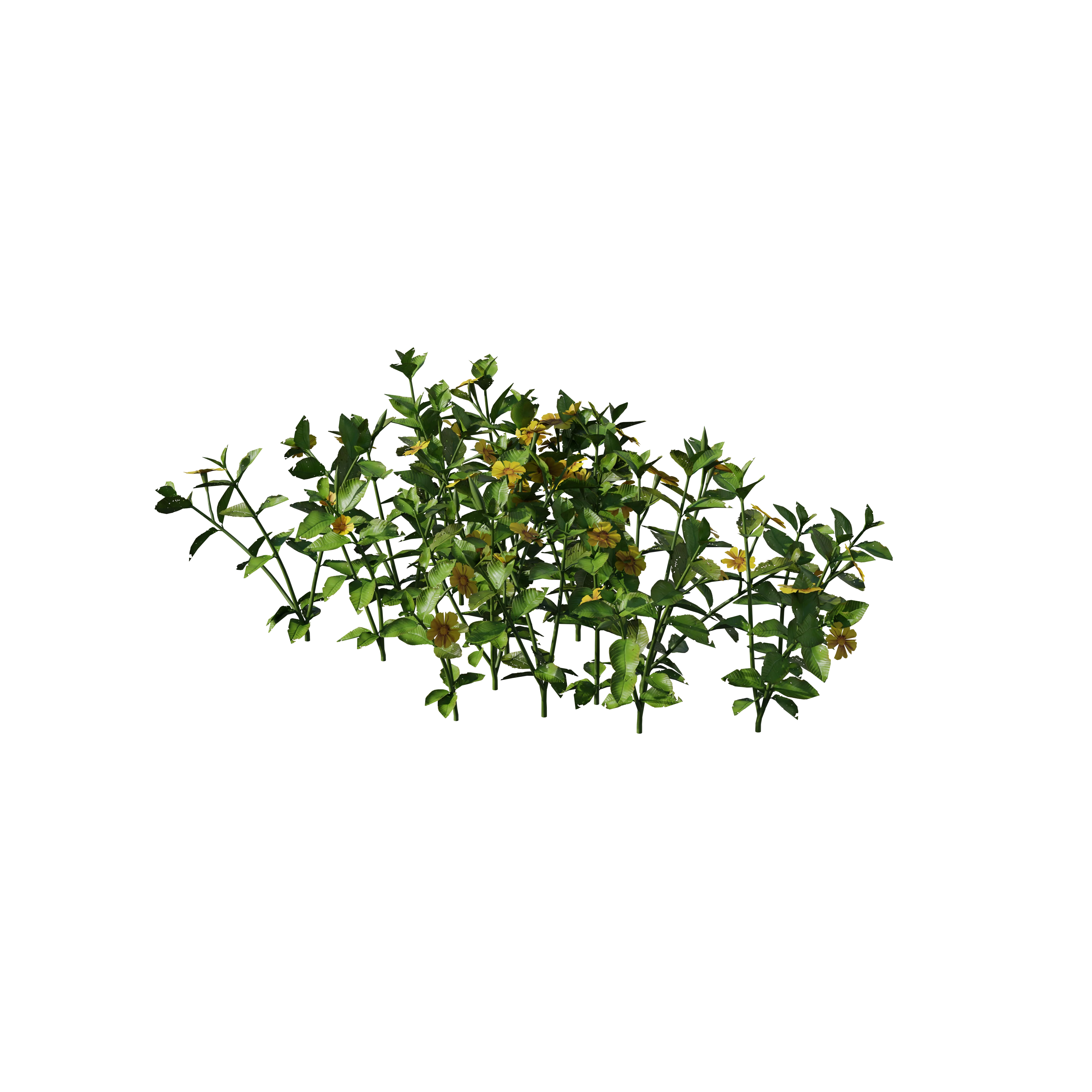 Product image 134