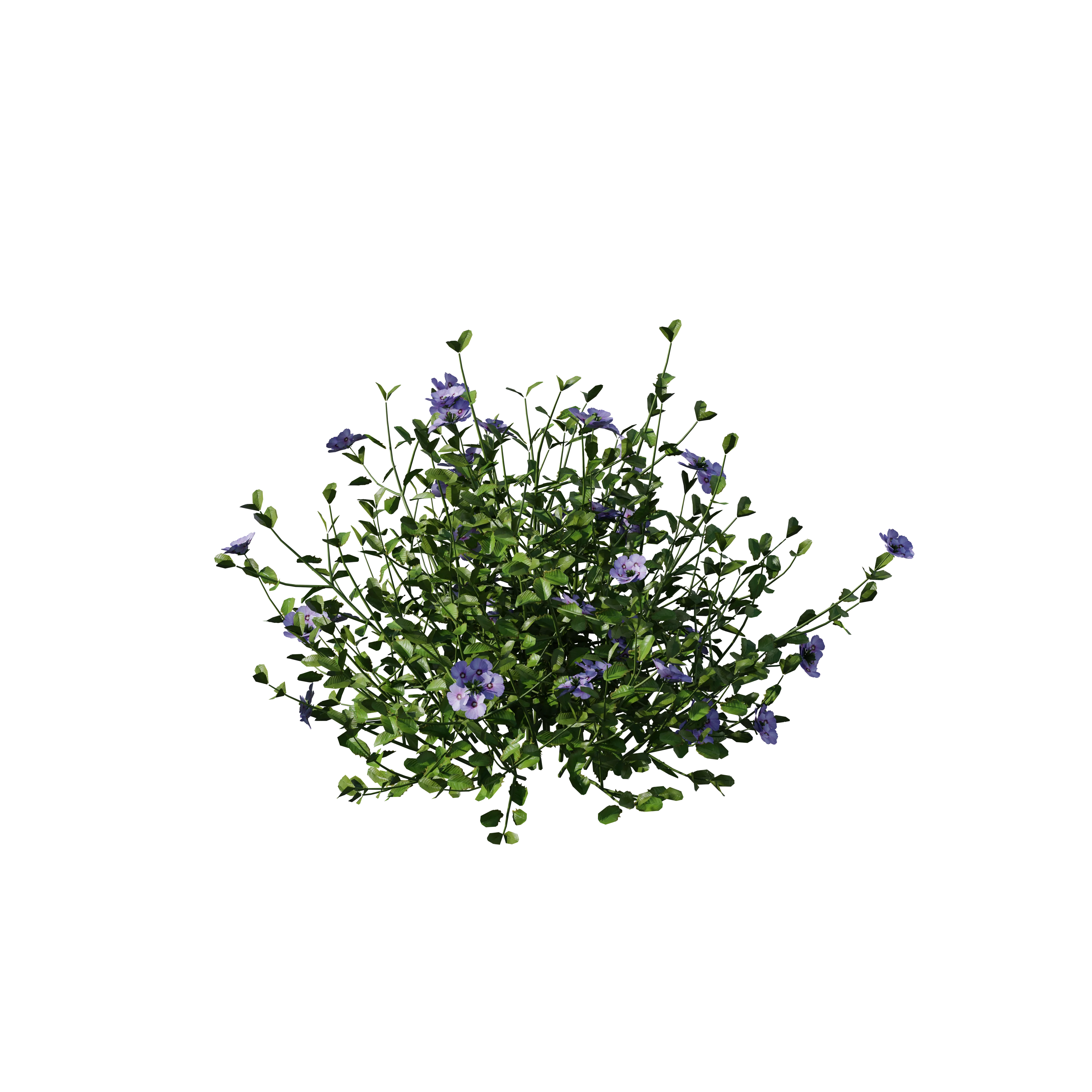 Product image 137