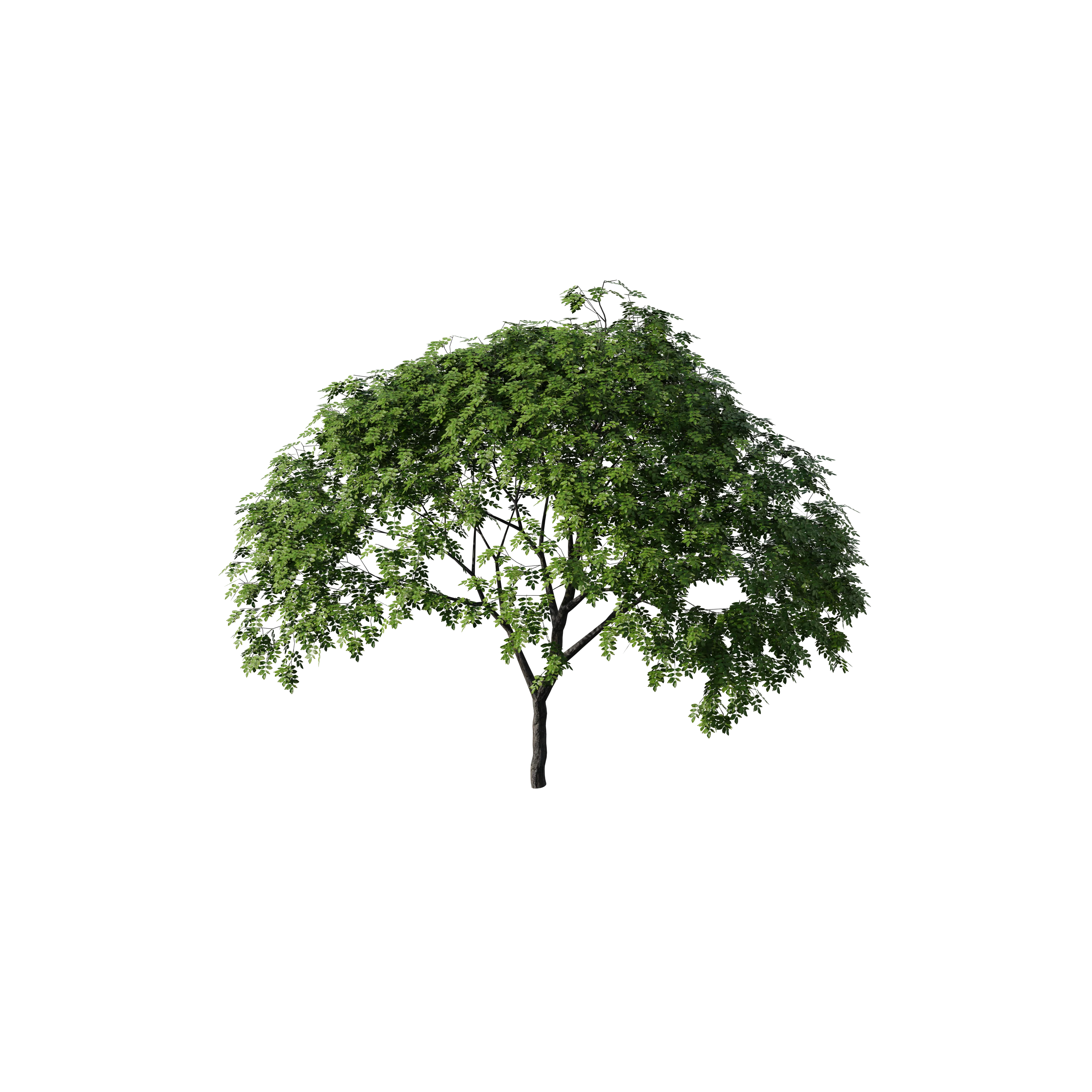Product image 174