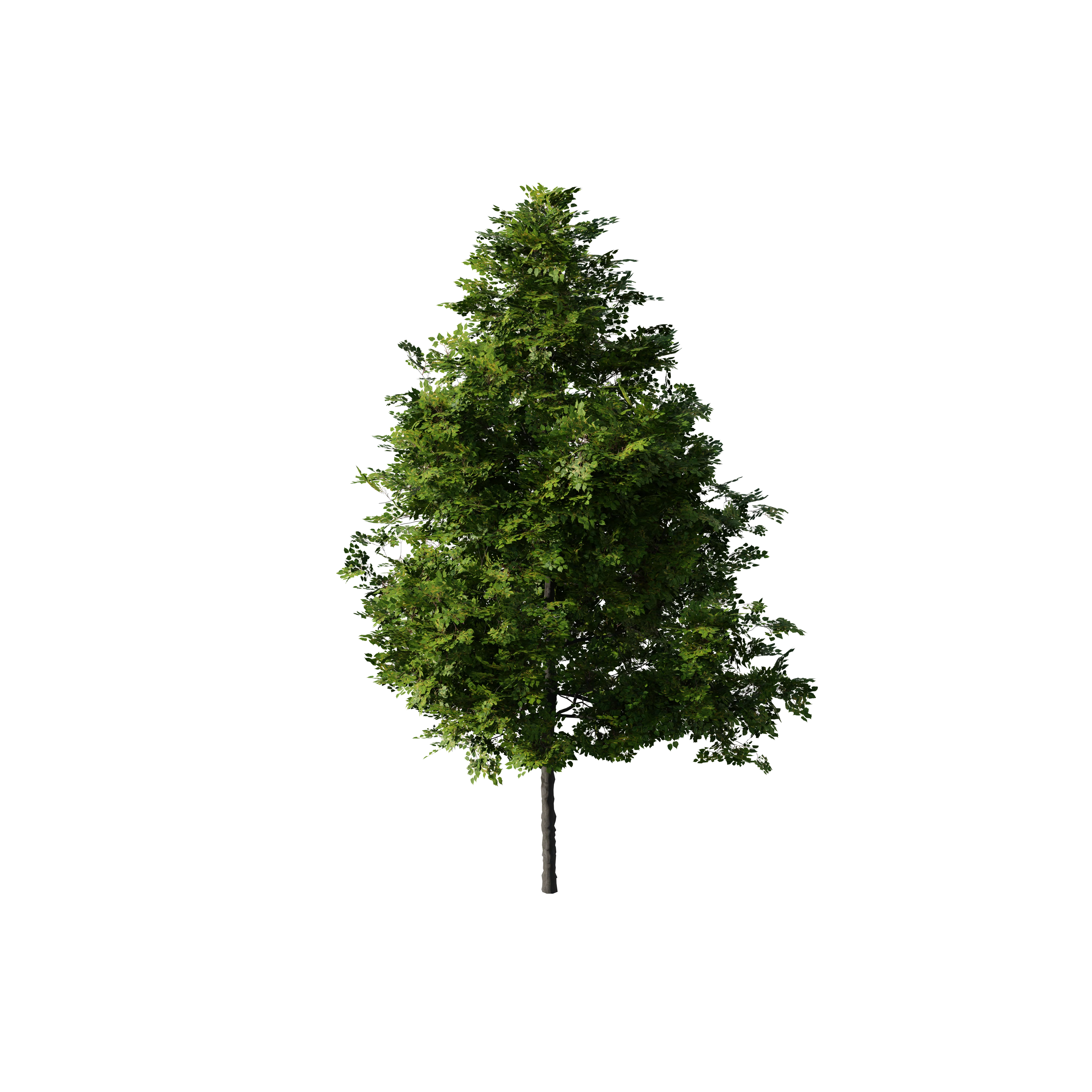 Product image 175
