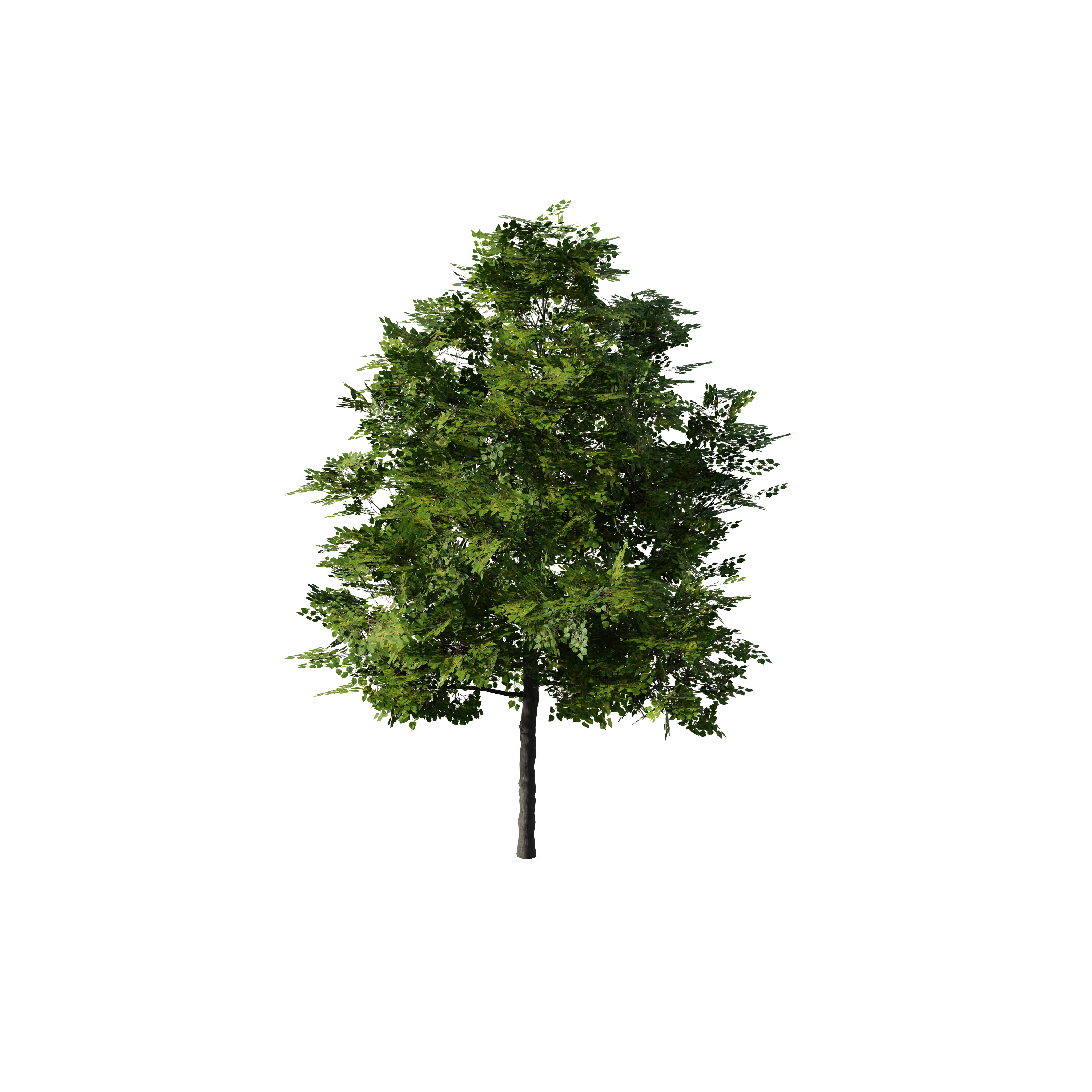 Product image 176