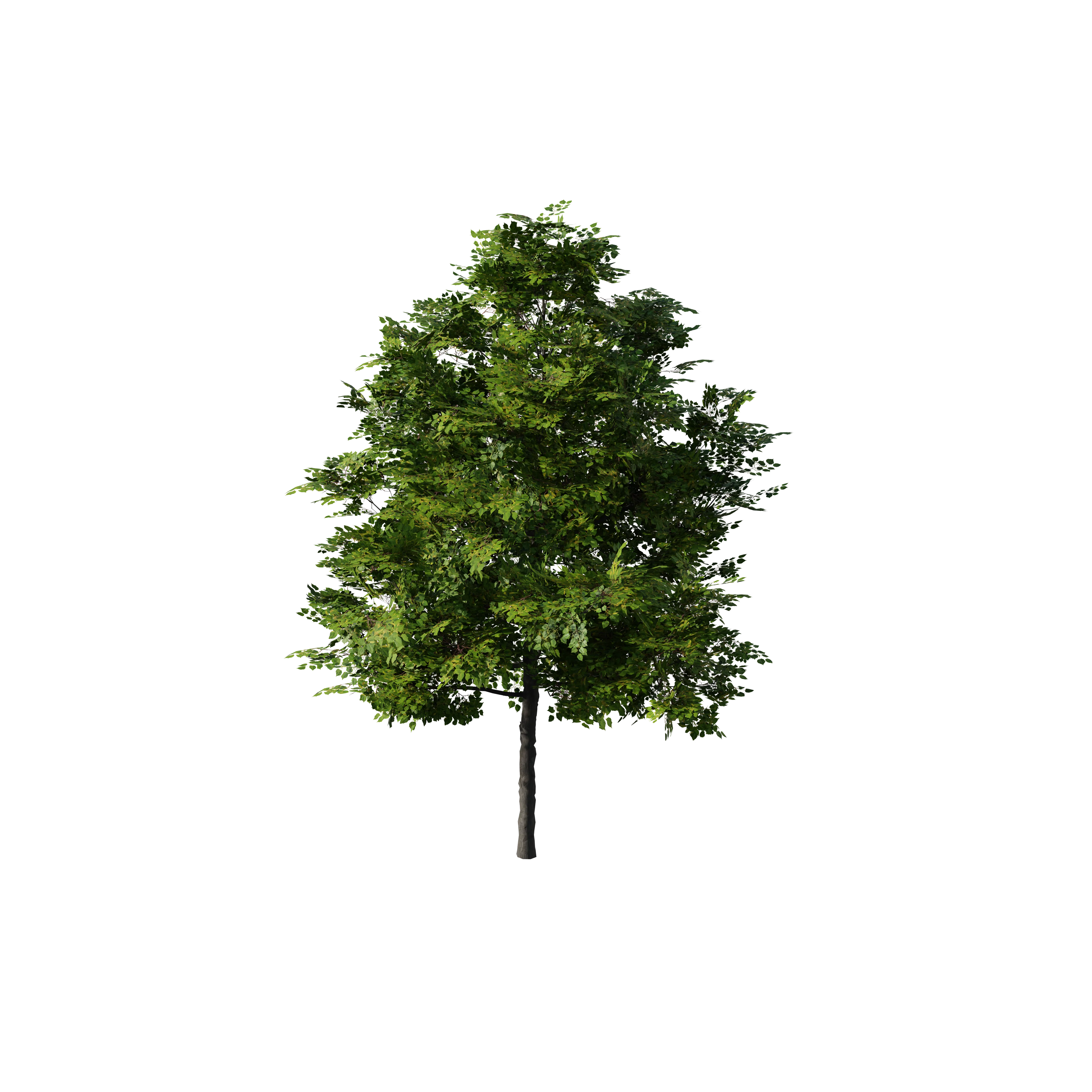 Product image 177