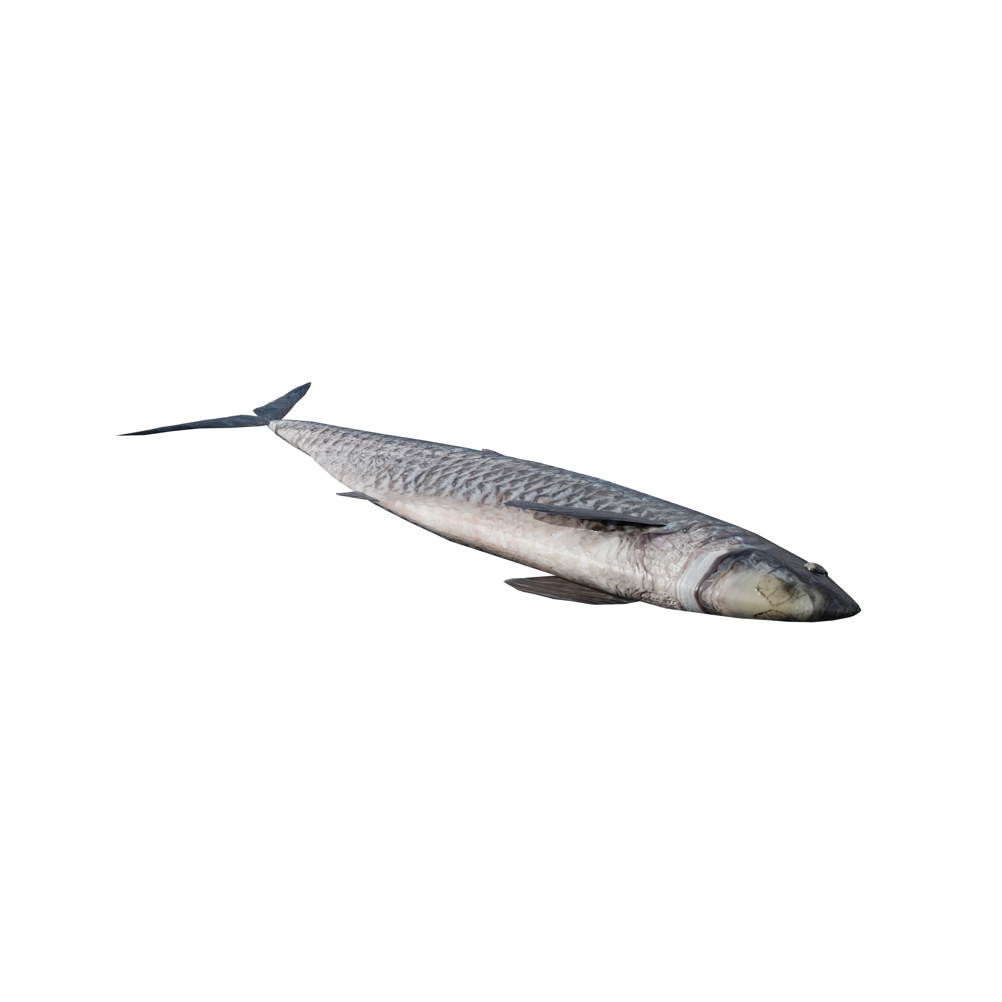 Product image 101