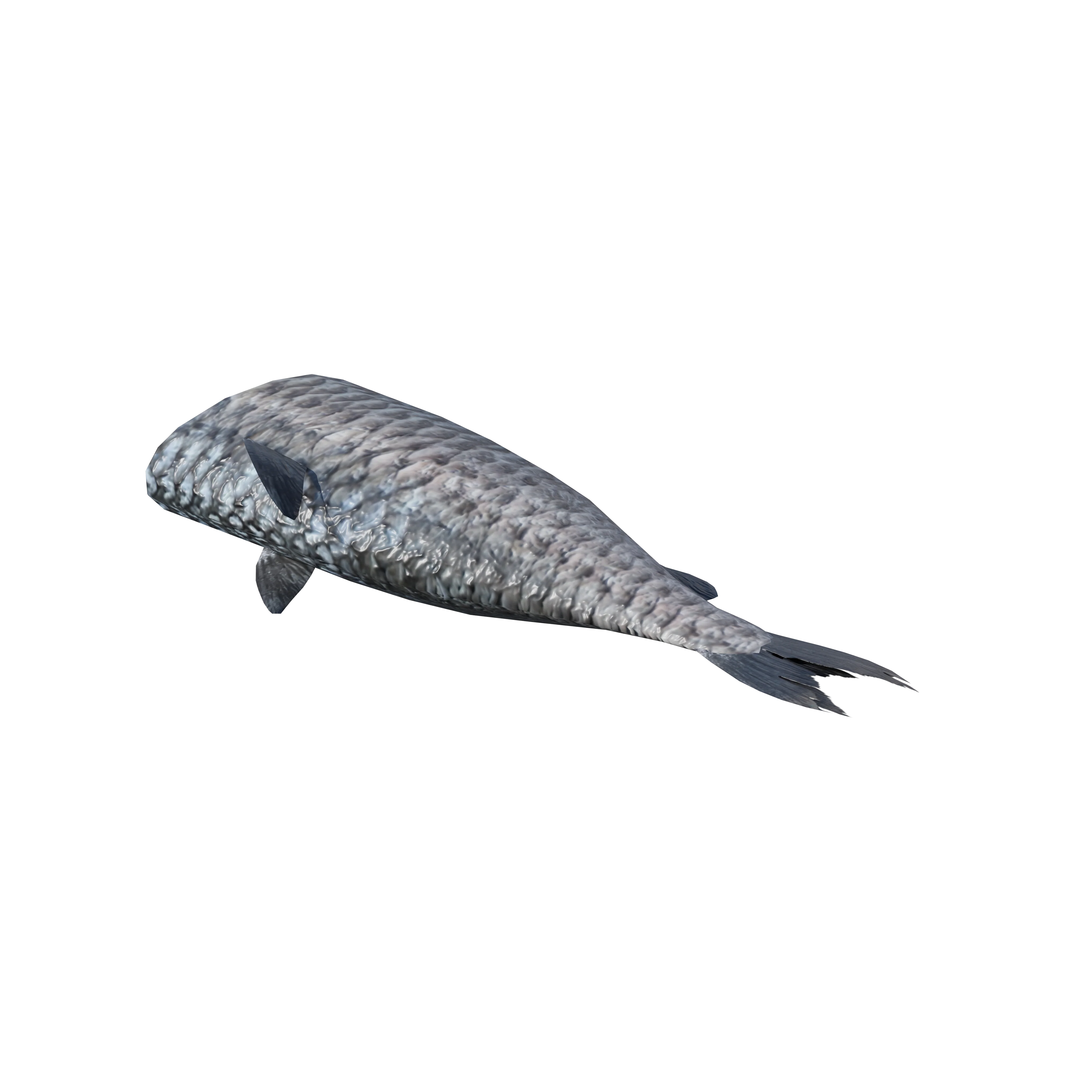 Product image 107