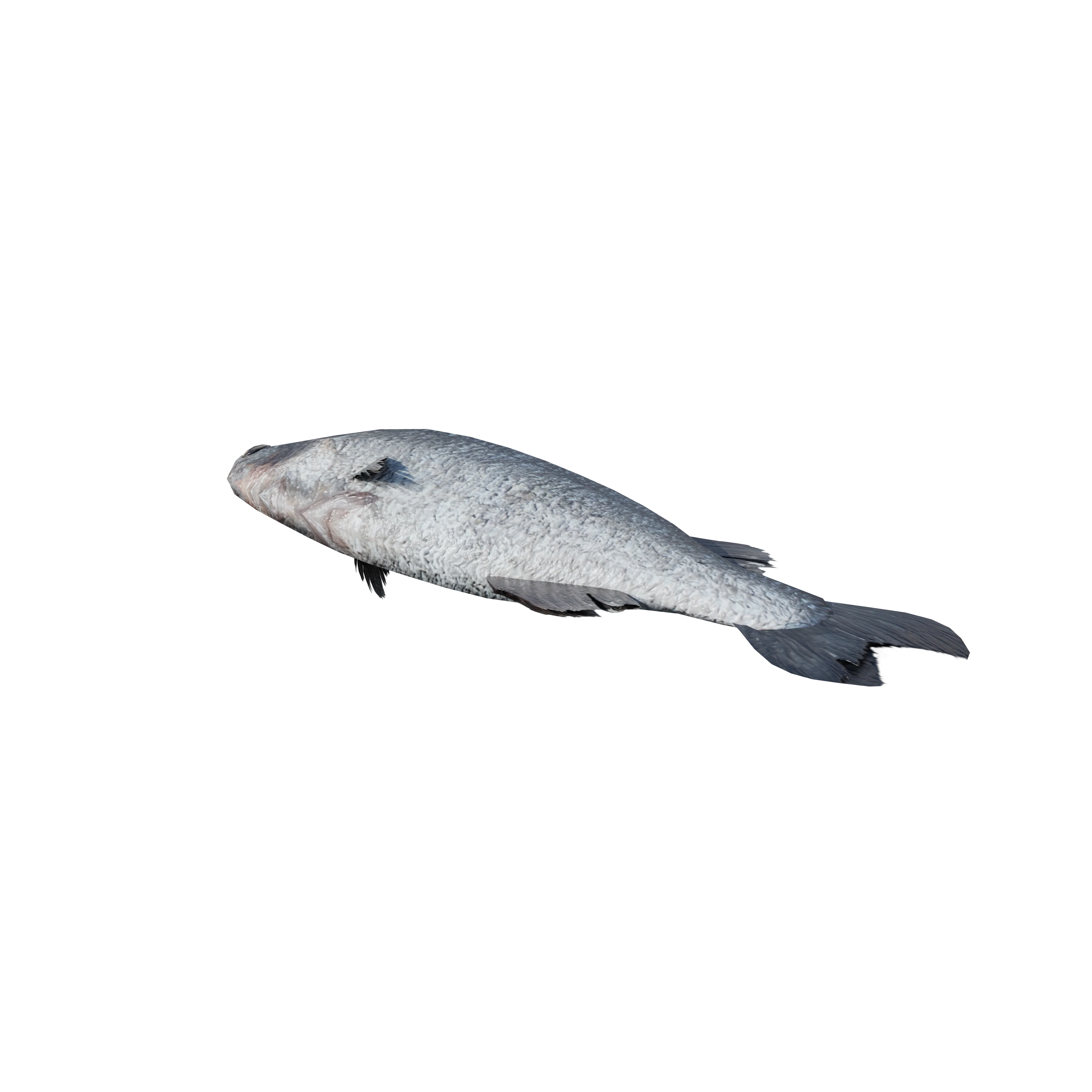 Product image 108