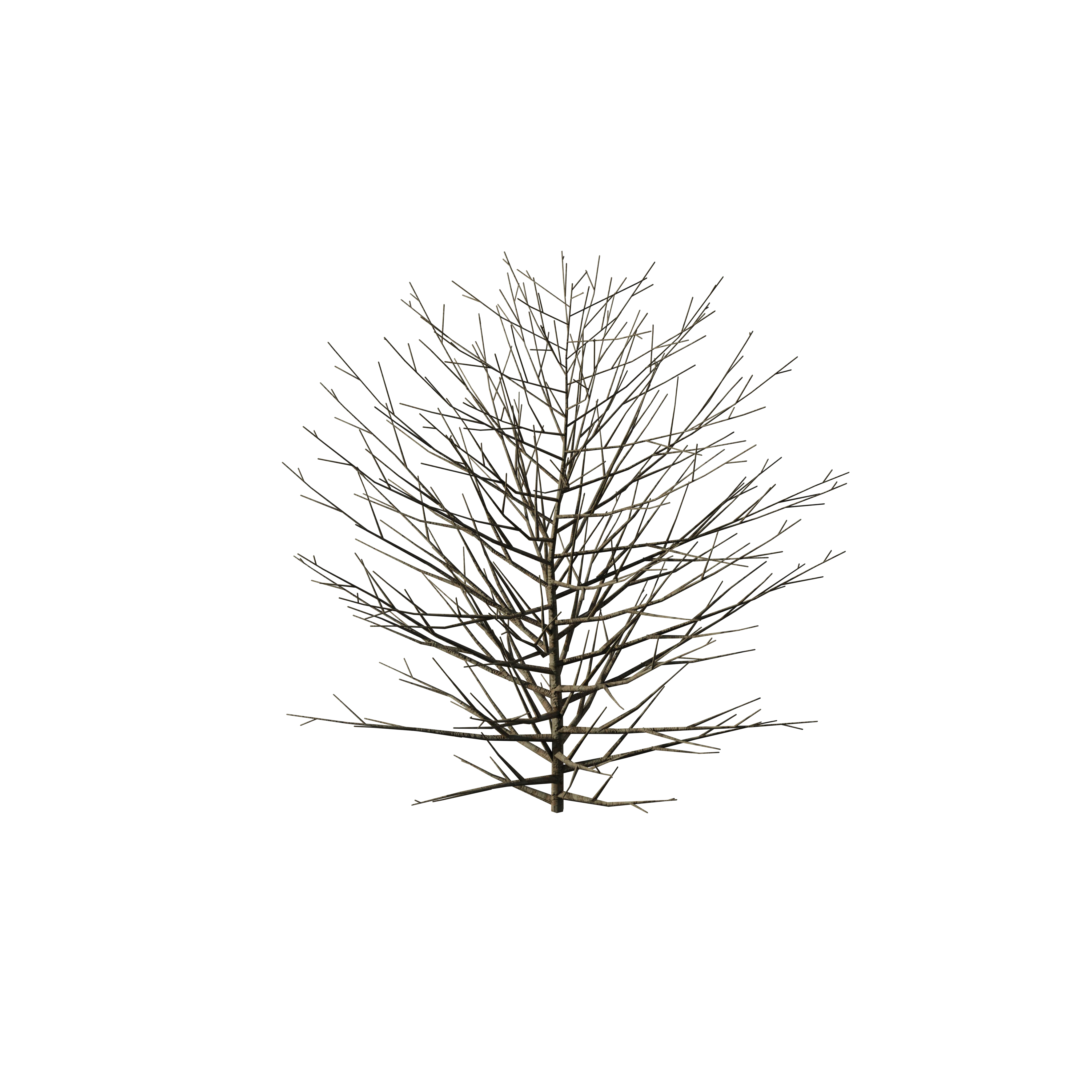 Product image 141